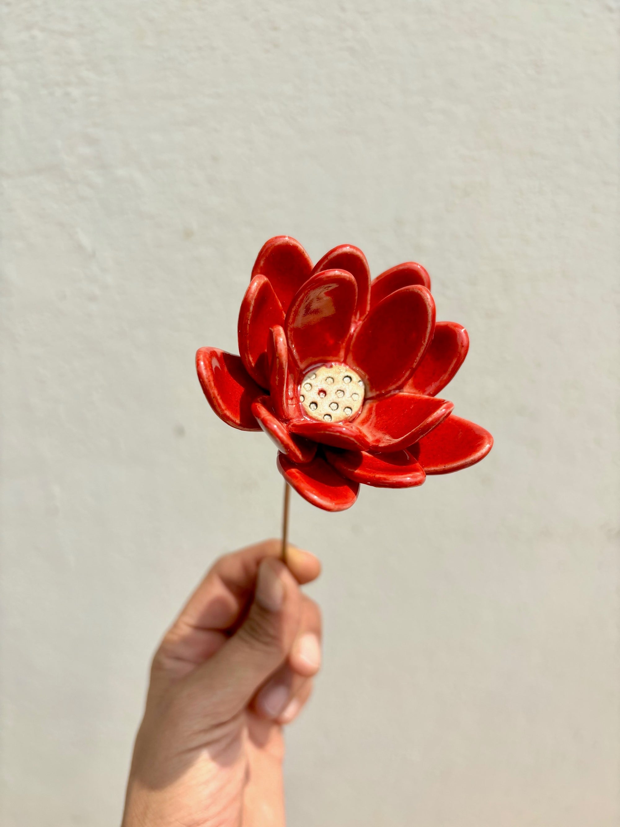 Rainflowers Single Stem Flowers - Red