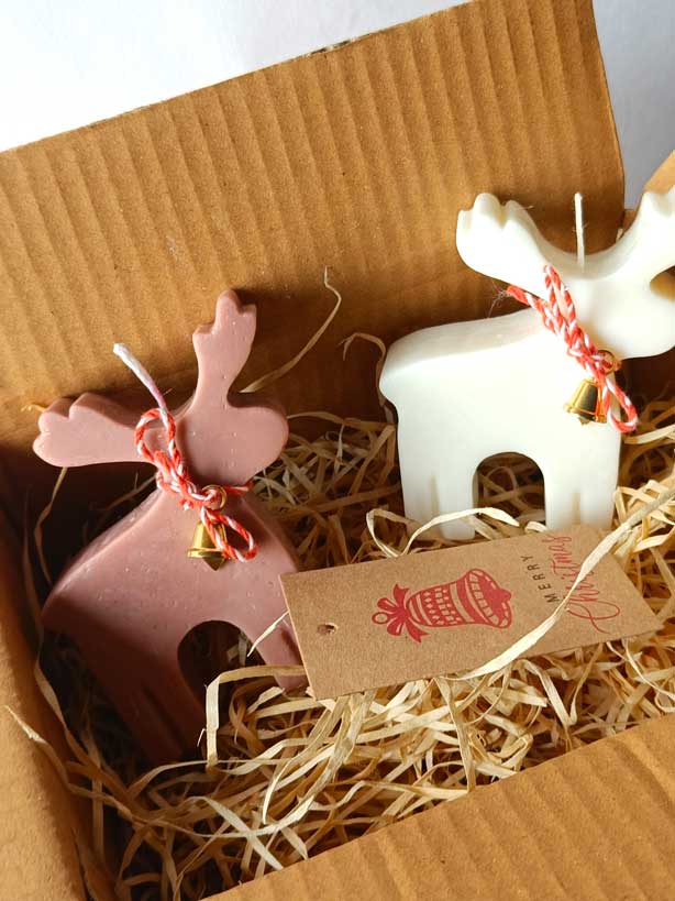 Rudolph The Reindeer Christmas Gift Set of 2 – Festive Holiday Decor