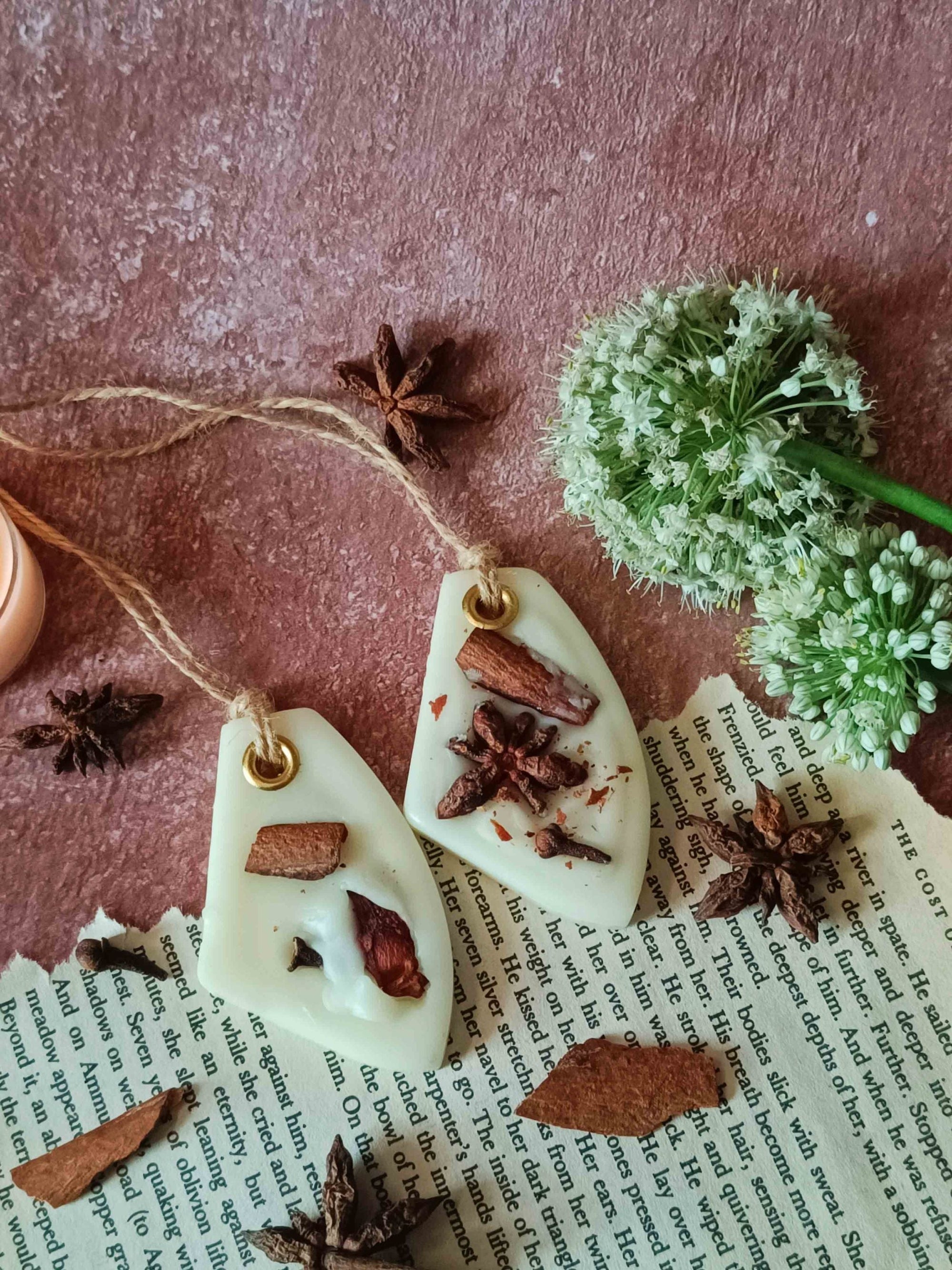 Scented Wax Sachet Arrowhead - Star Anise