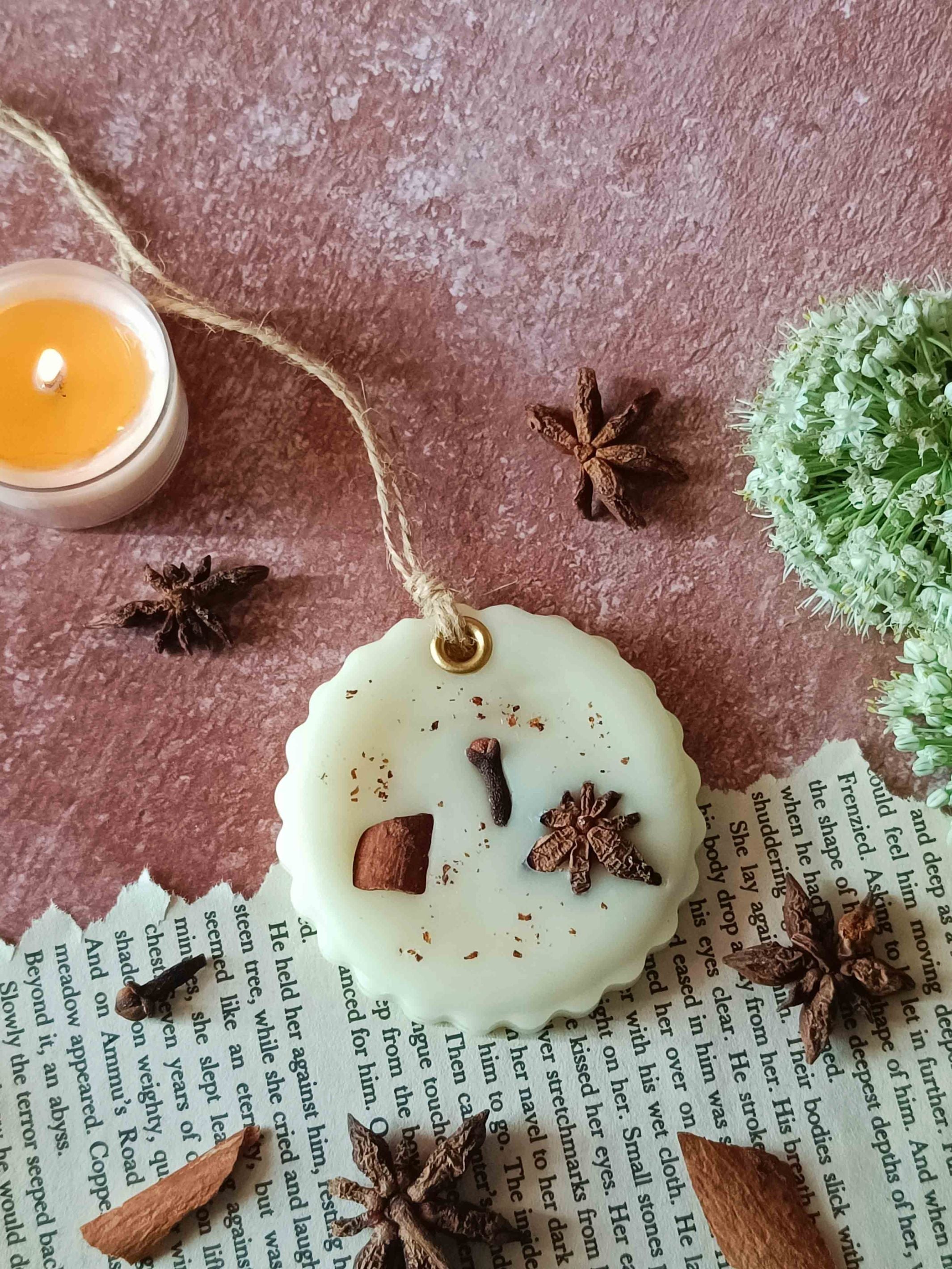 Scented Wax Sachet Circle Frame - Star Anise