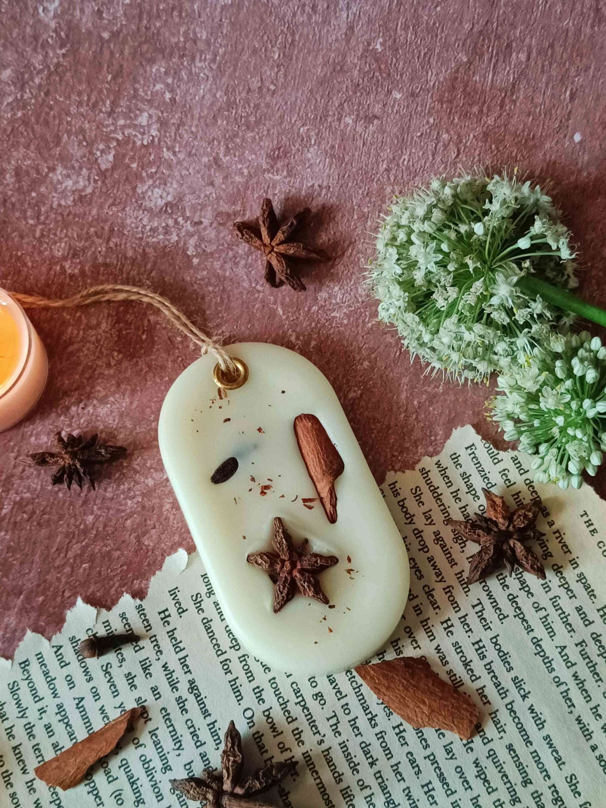 Scented Wax Sachet Curved Rectangle - Star Anise
