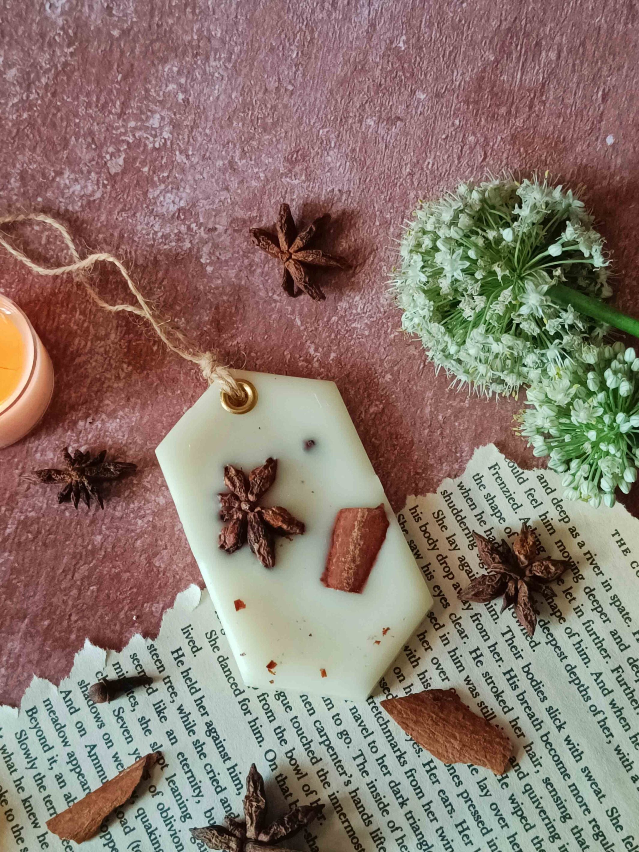 Scented Wax Sachet Hexagon - Star Anise