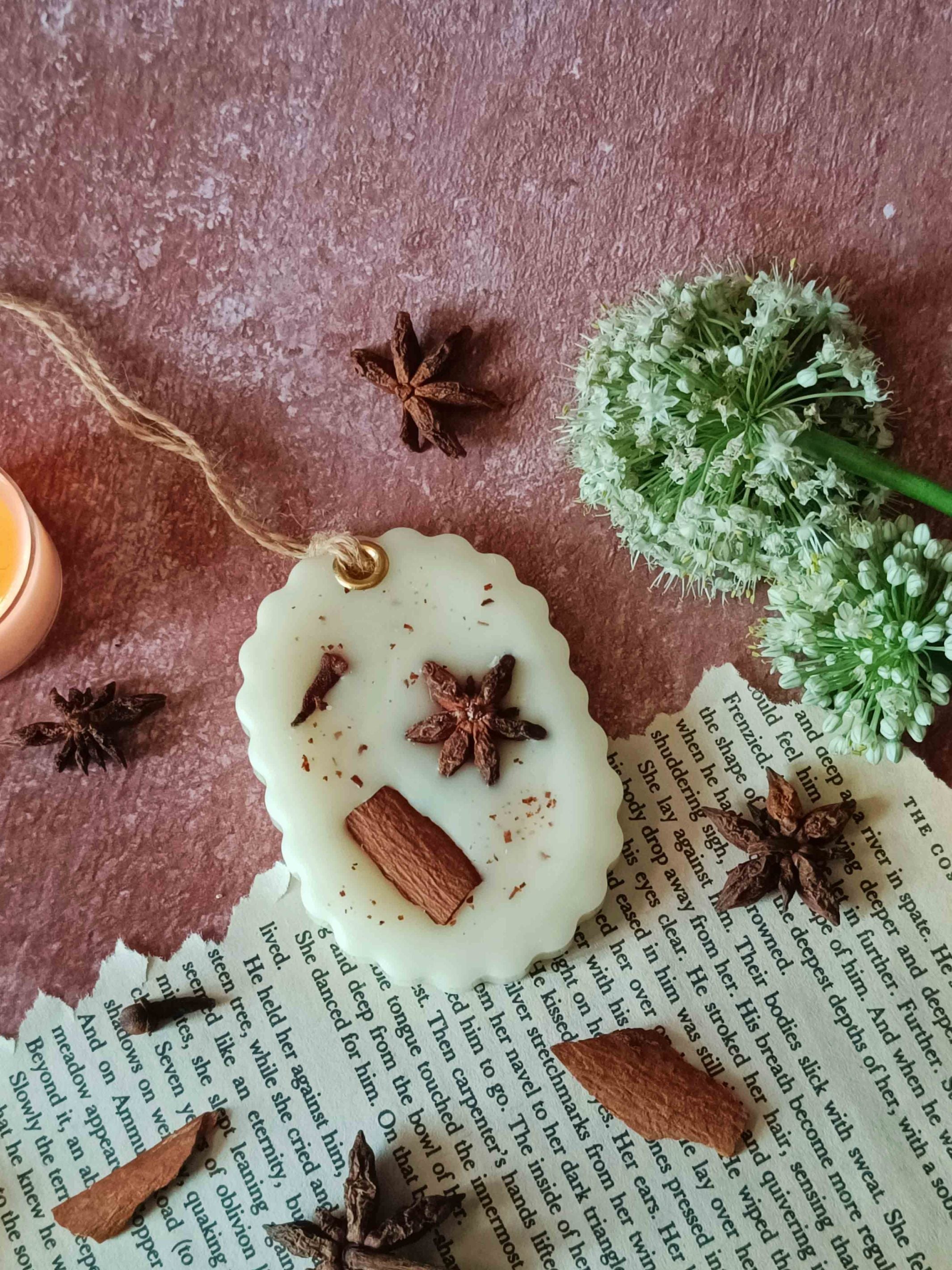 Scented Wax Sachet Oval - Star Anise