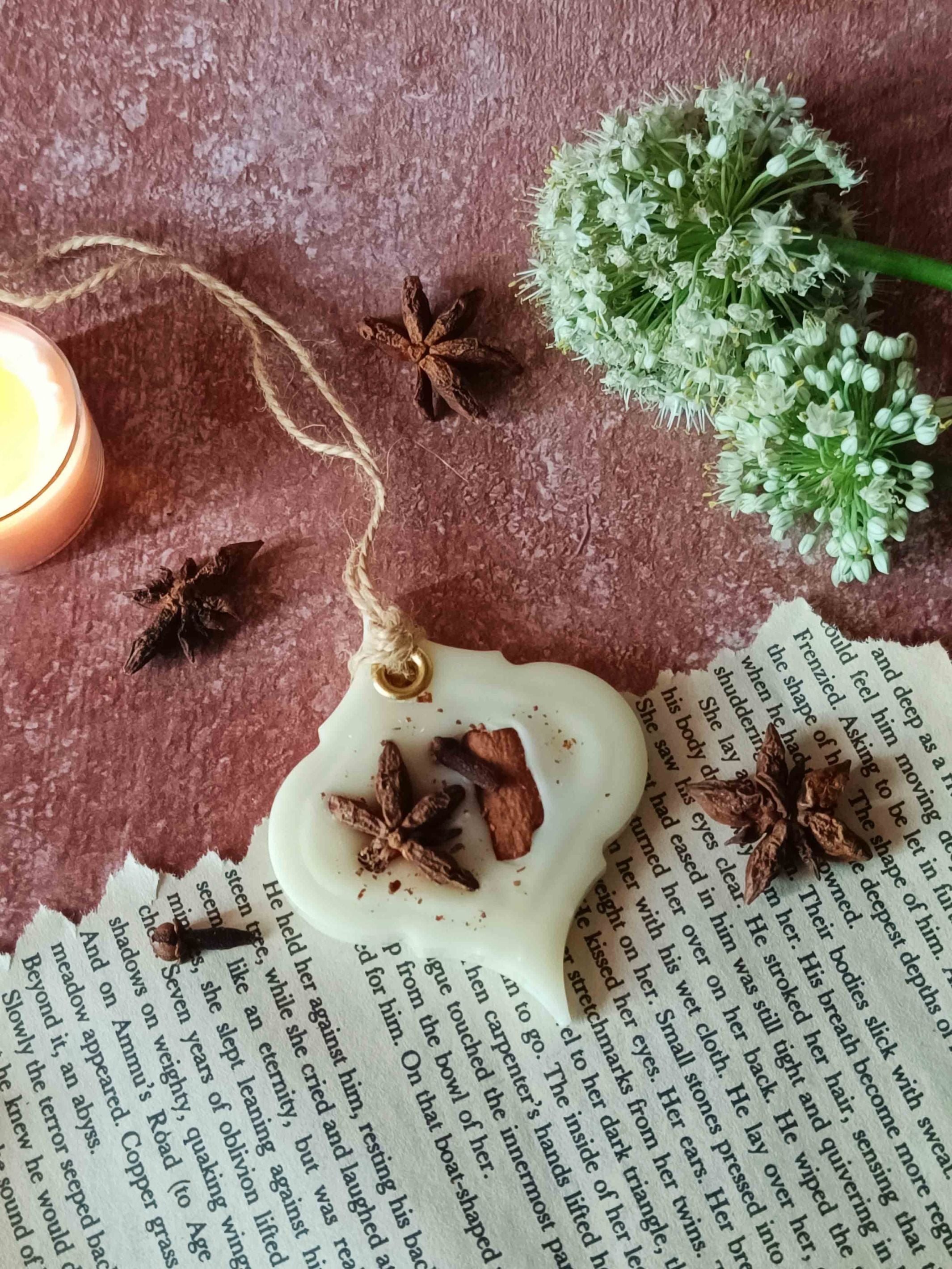 Scented Wax Sachet Rain Drop - Star Anise