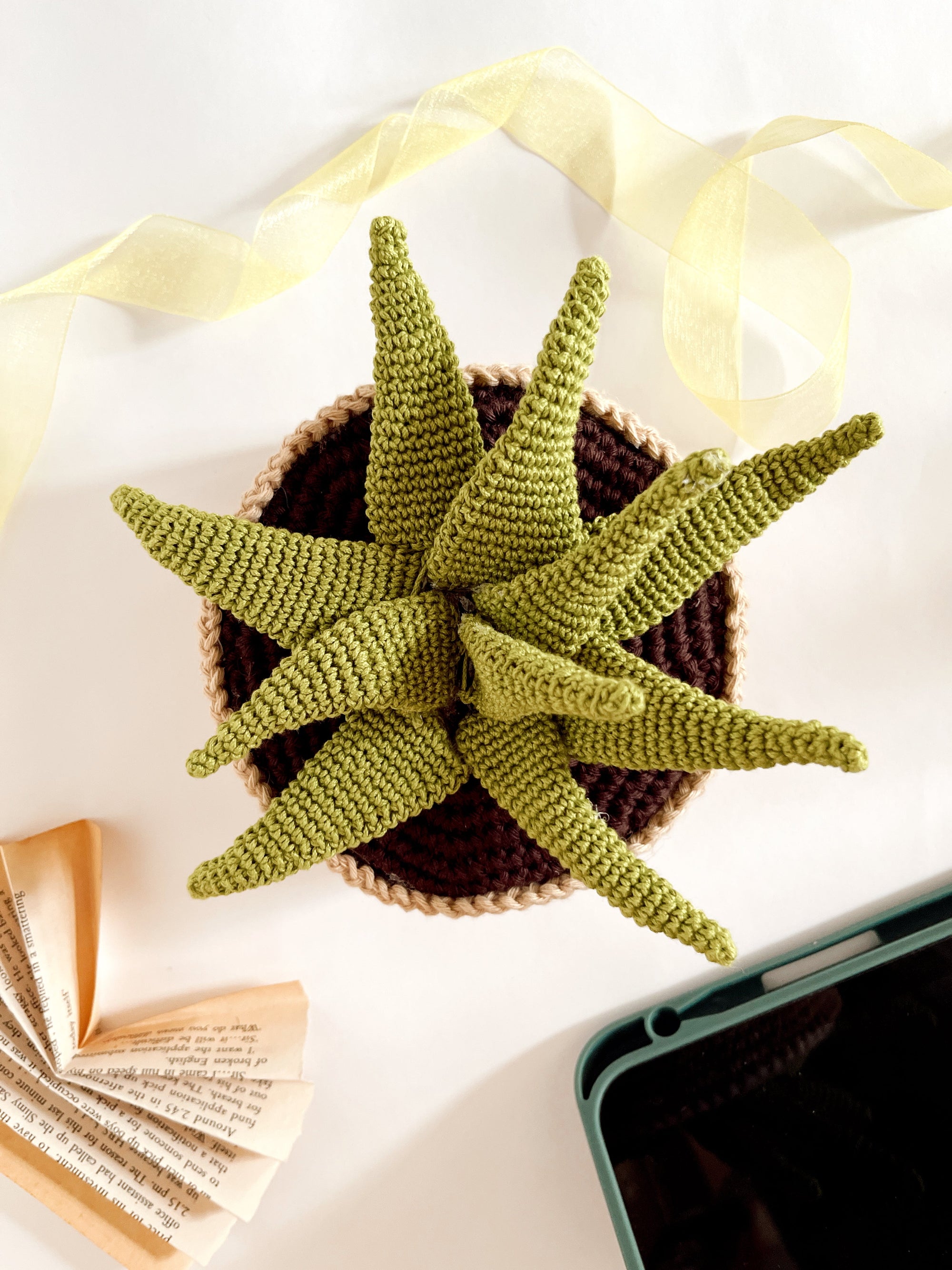 Crochet Aeonium succulent