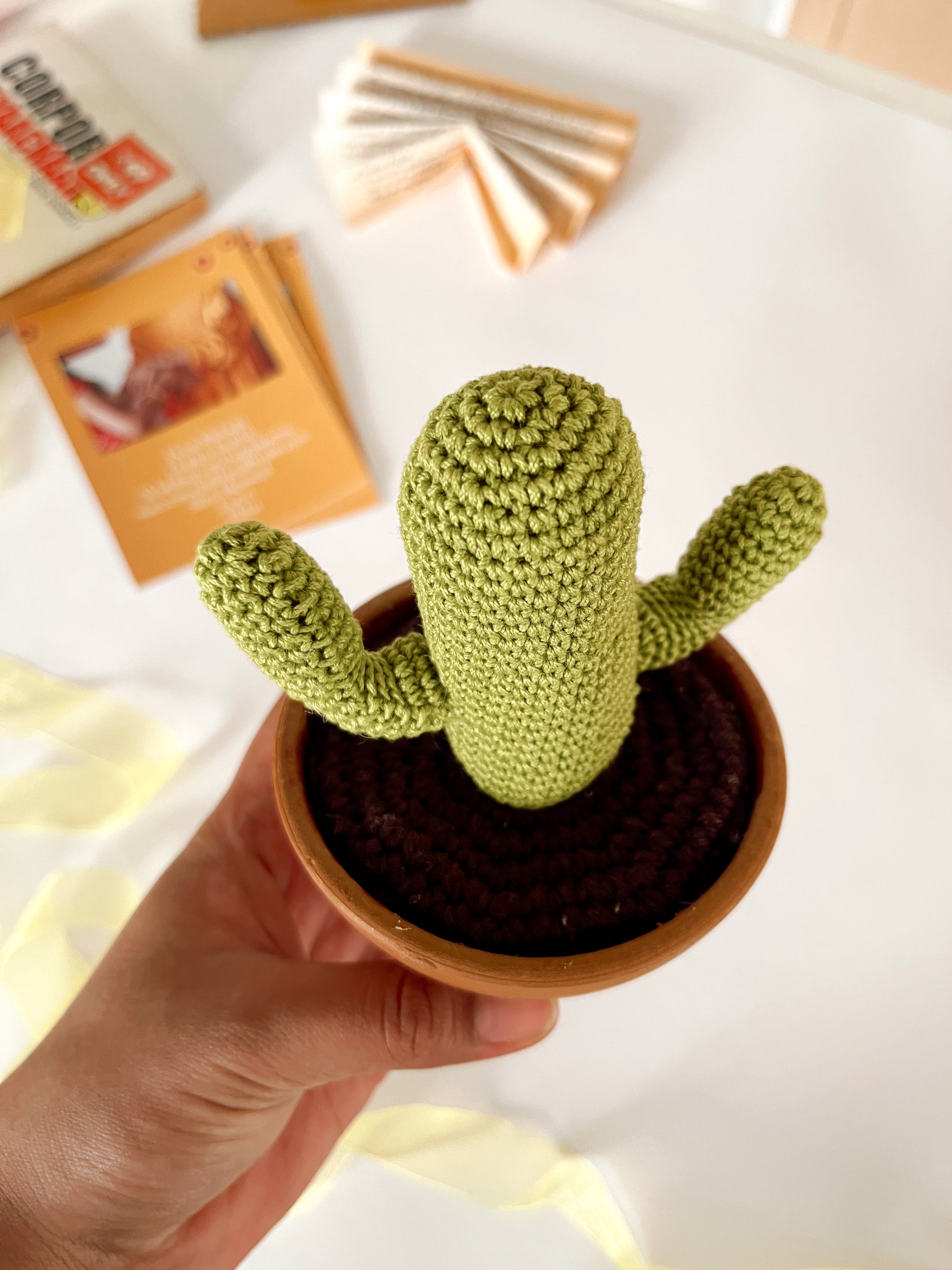Terracotta crochet cactus