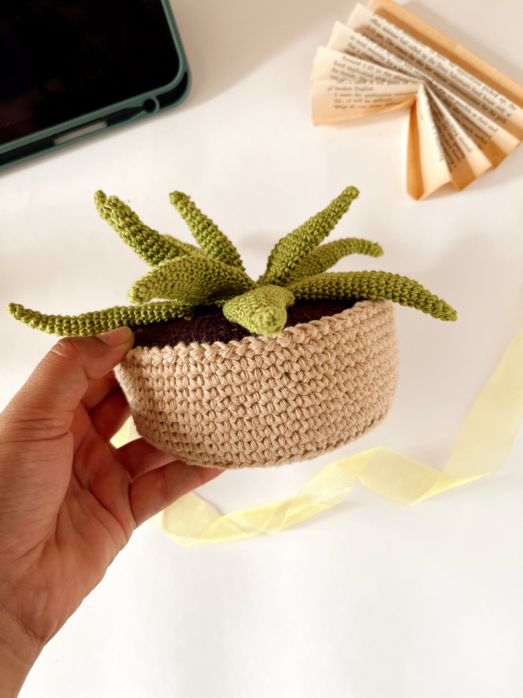 Crochet Aeonium succulent