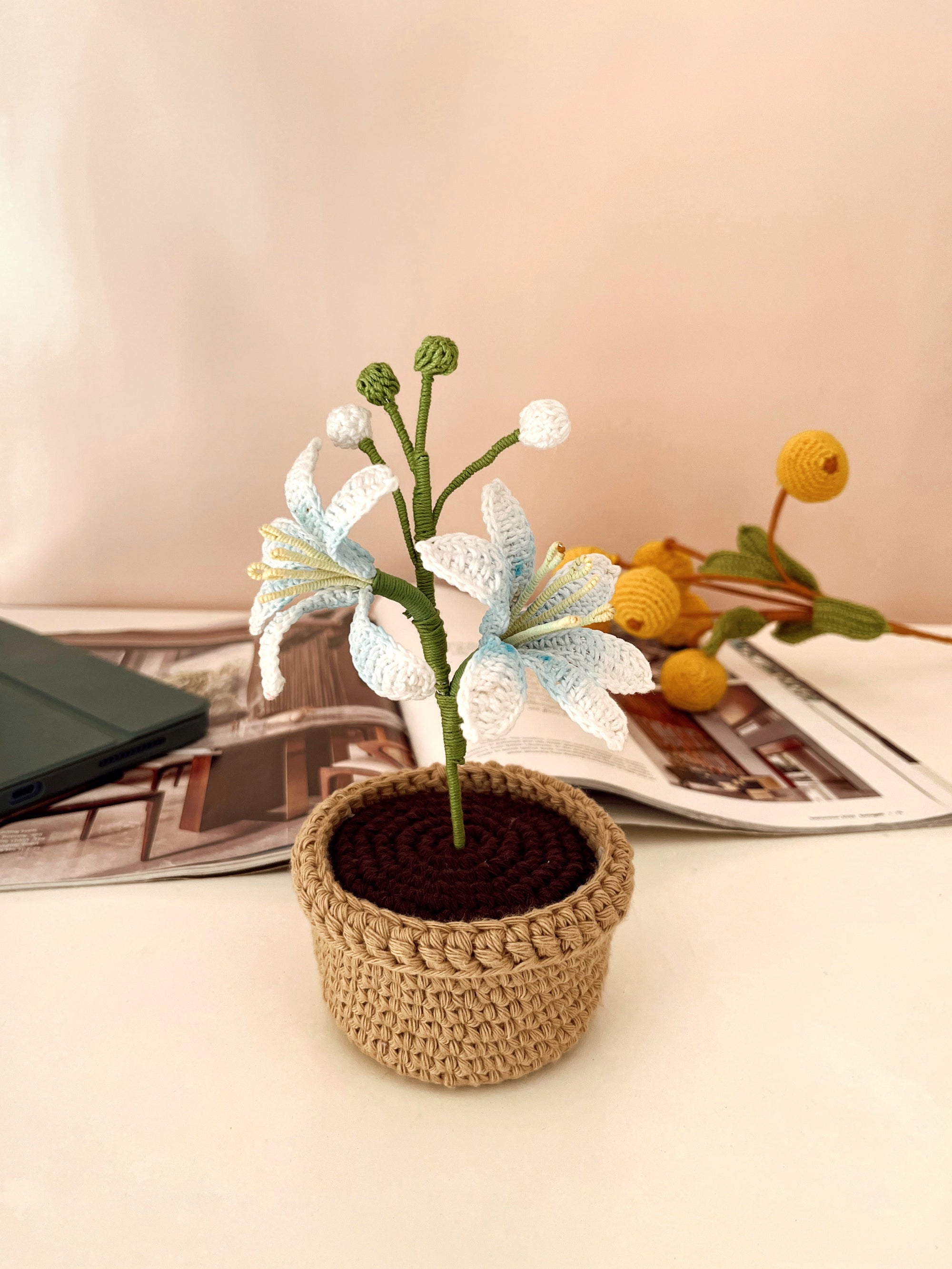Crochet Lucifer Pot