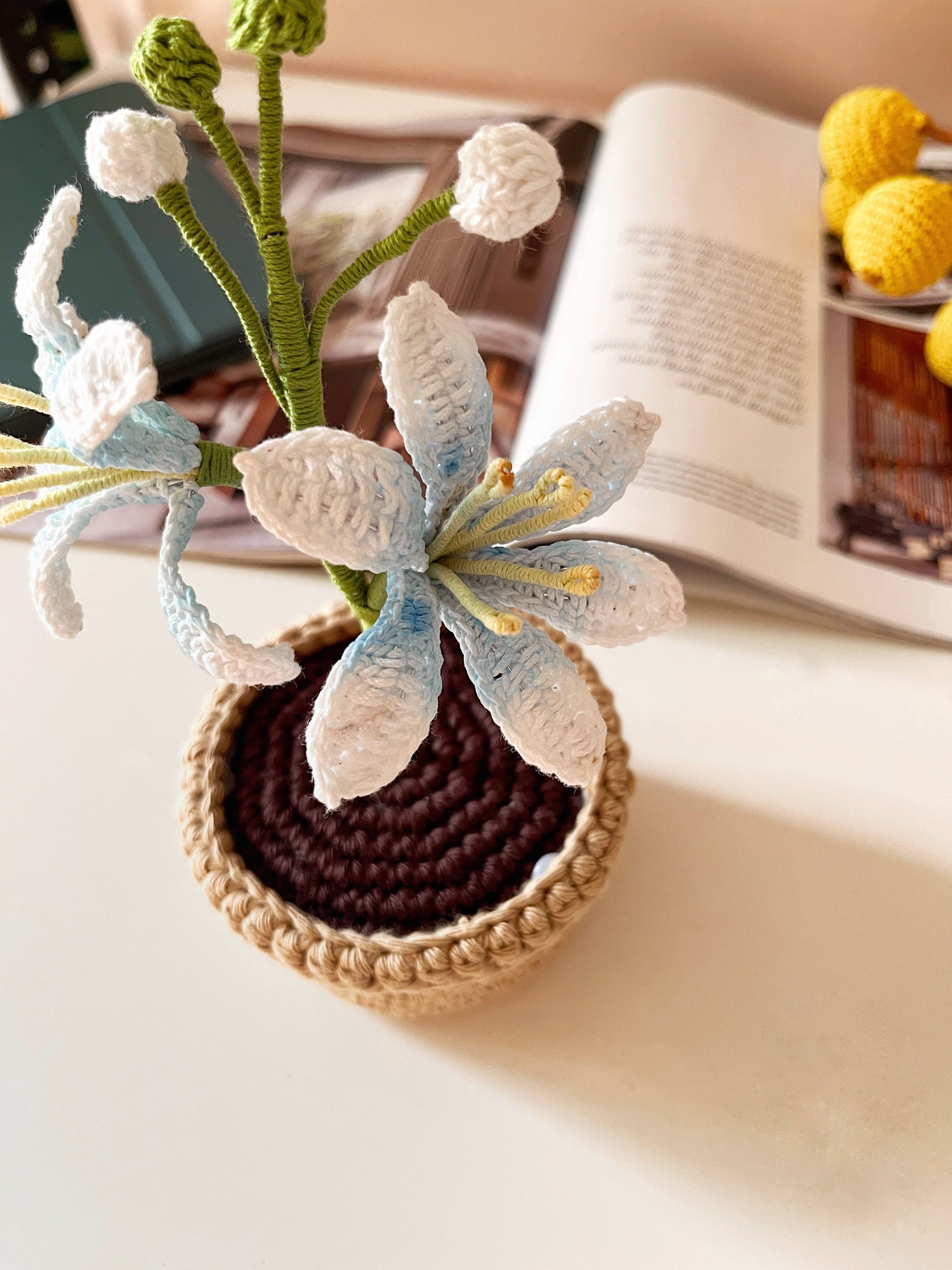 Crochet Lucifer Pot