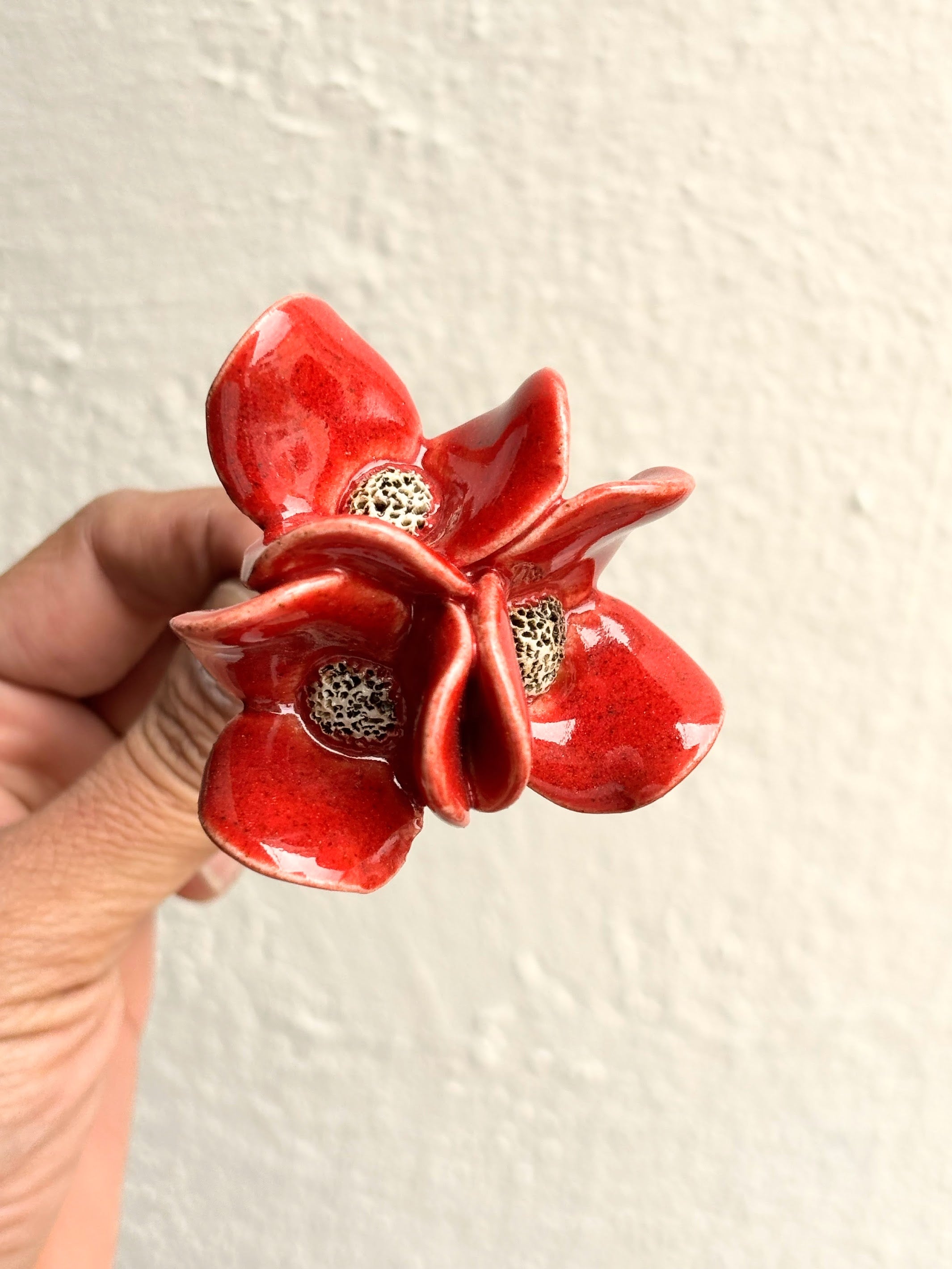 Trinity Orchid - Red Single Stem