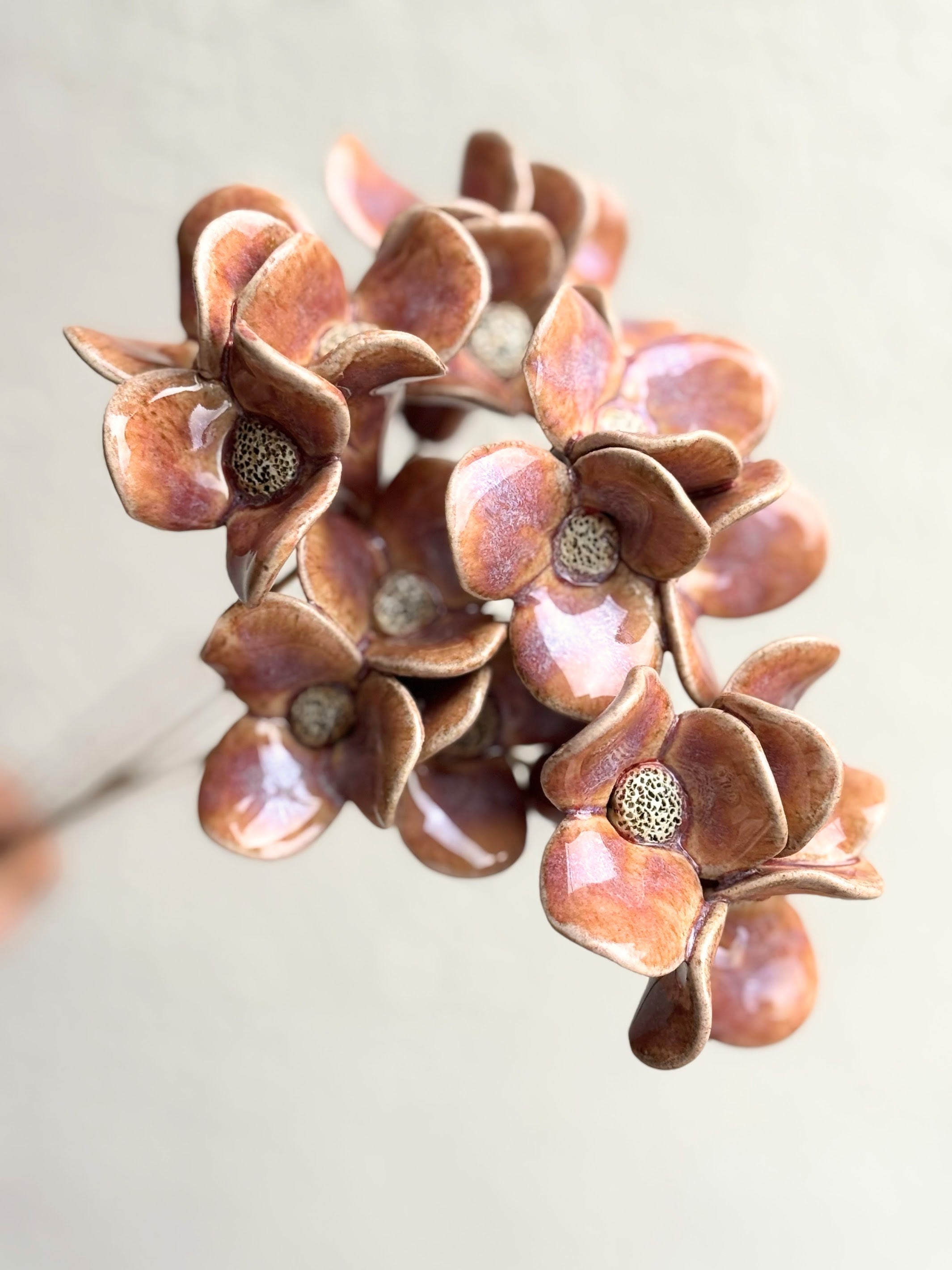 Trinity Orchid - Burnt Pink Single stem