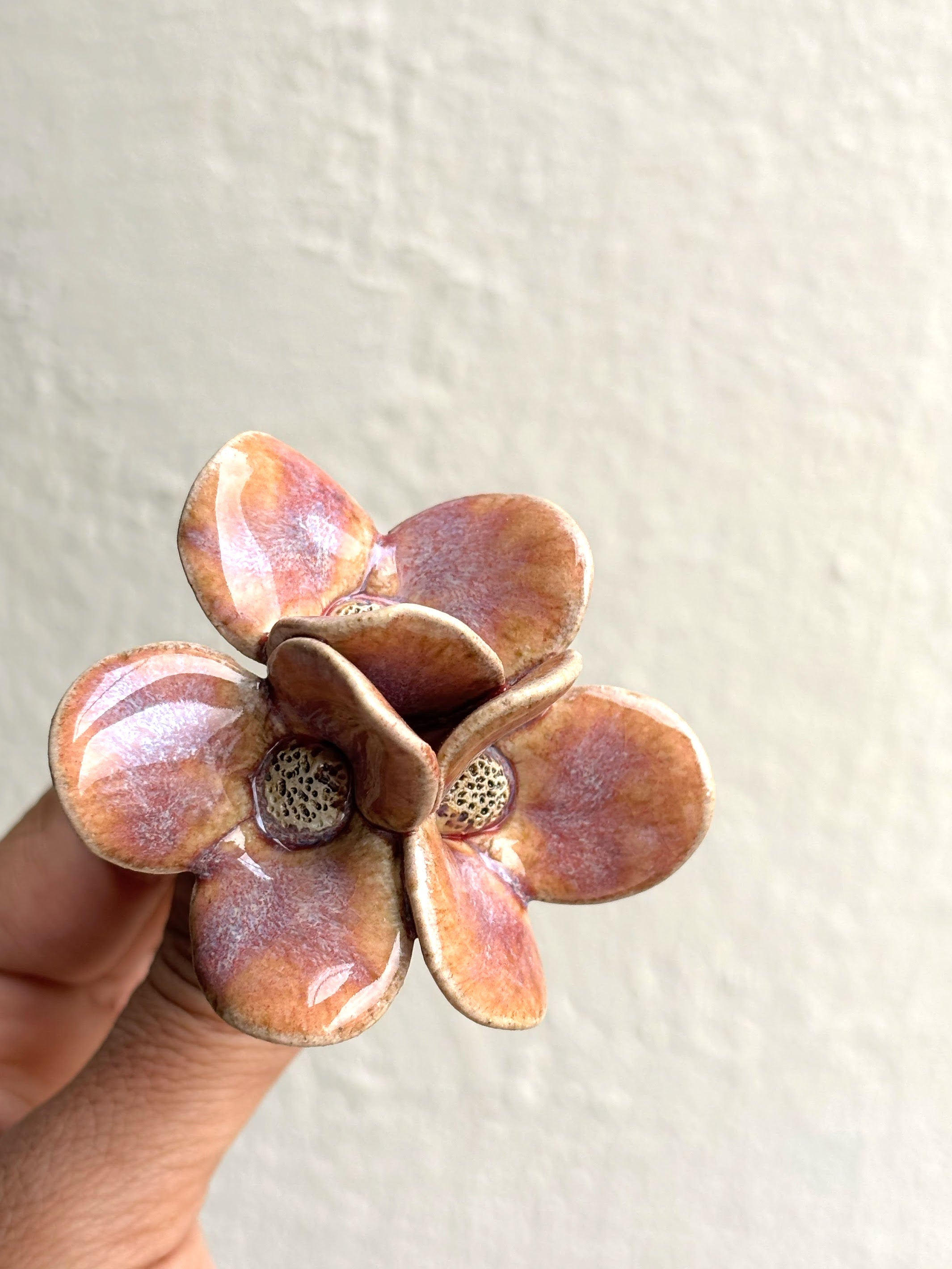 Trinity Orchid - Burnt Pink Single stem