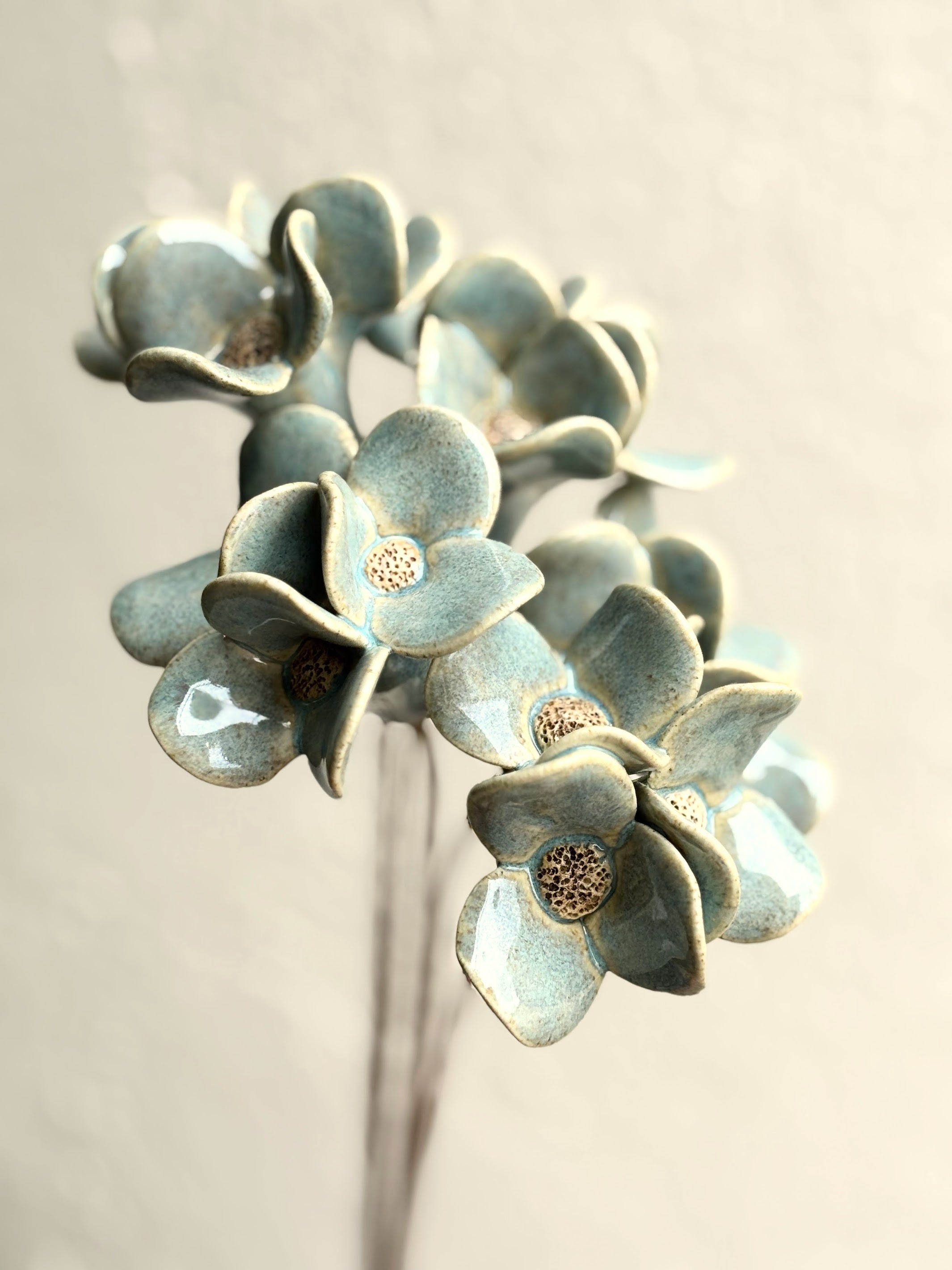 Trinity Orchid - Heavenly Blue Single Stem