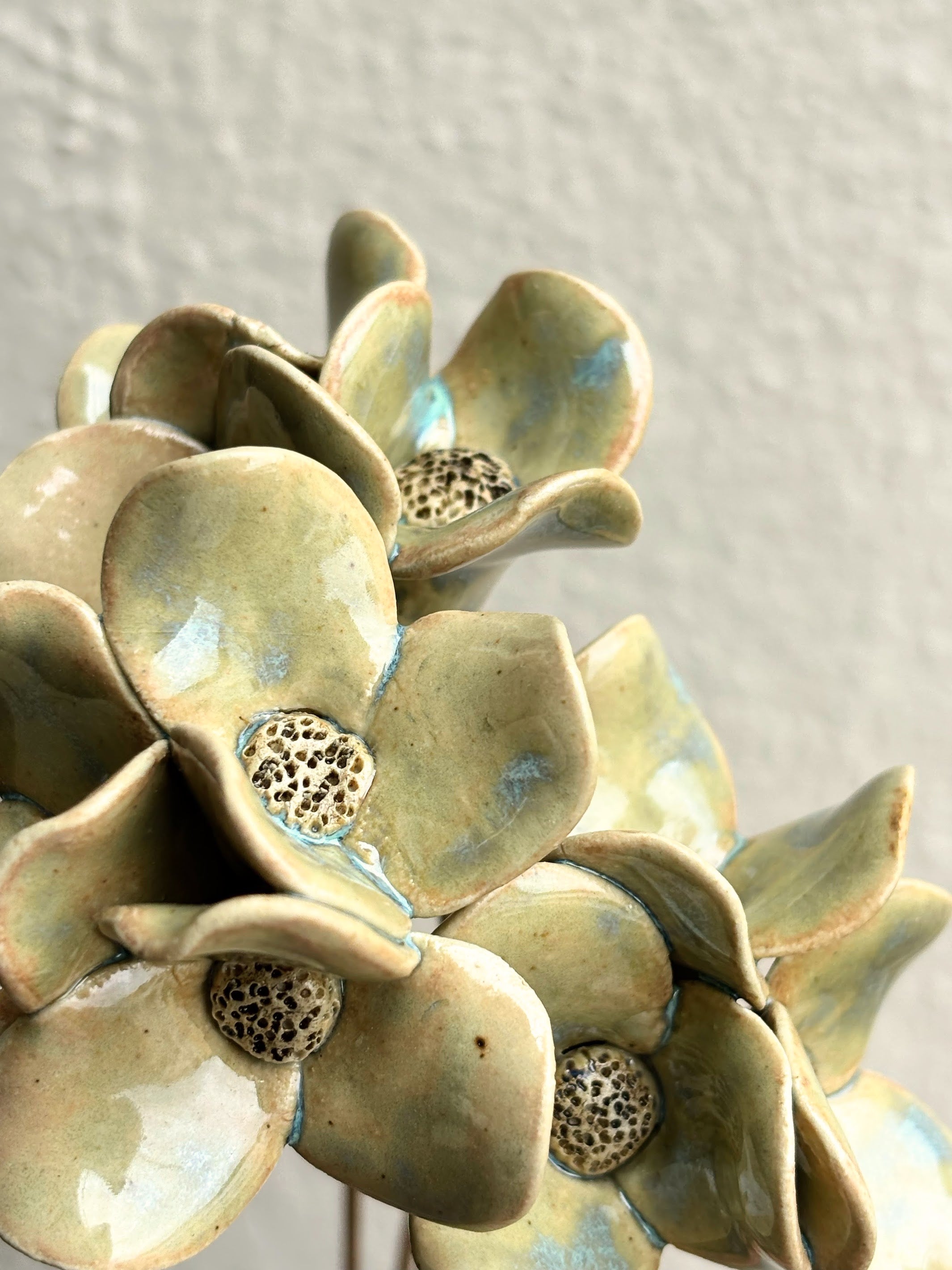 Trinity Orchid - Hazy Green Single Stem