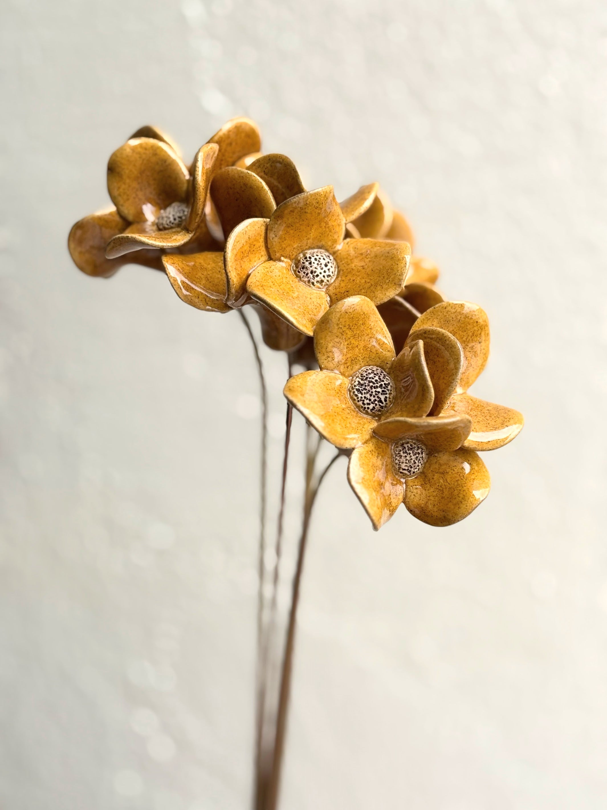 Trinity Orchid Mustard - Single Stem