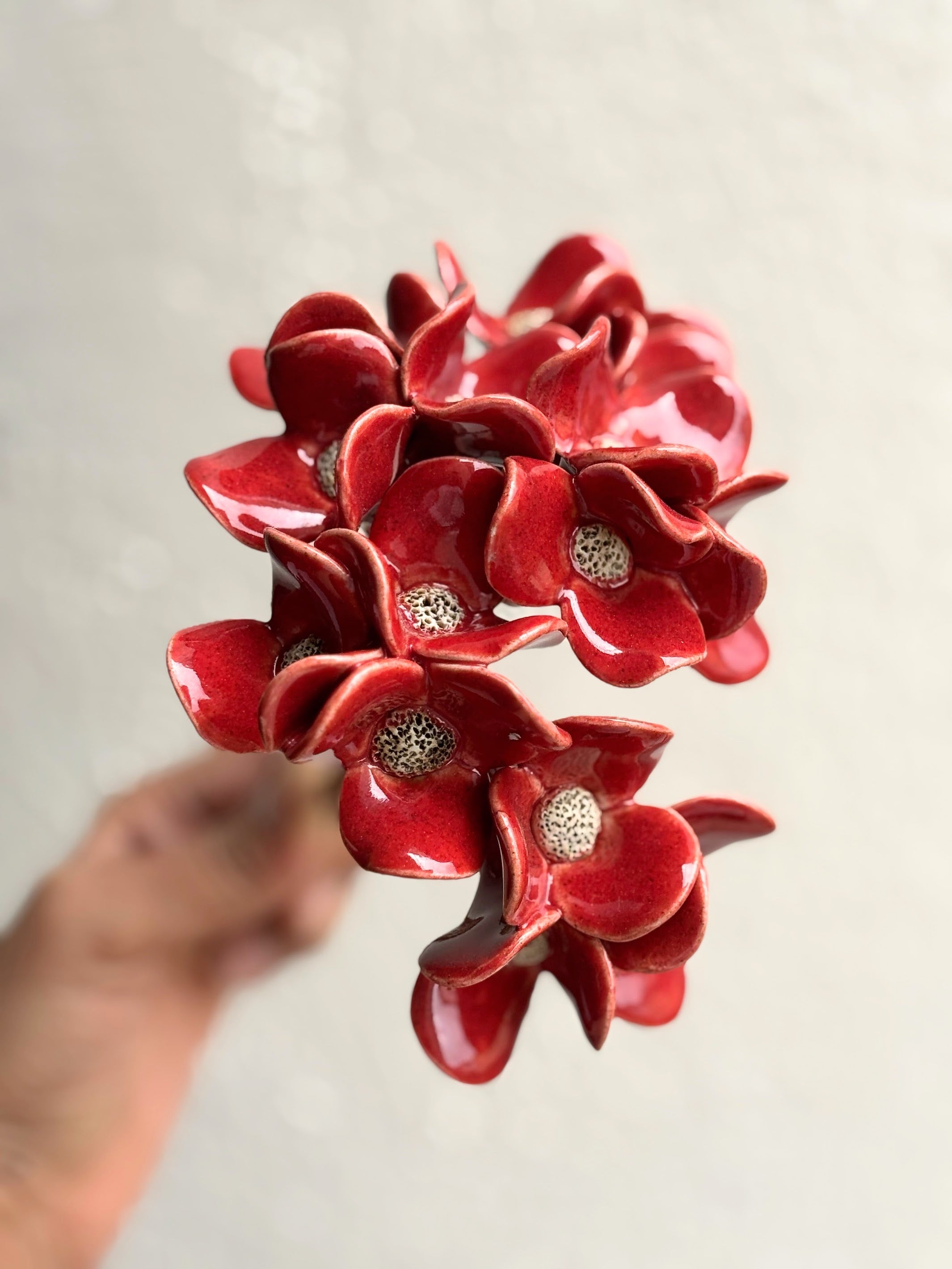 Trinity Orchid - Red Single Stem