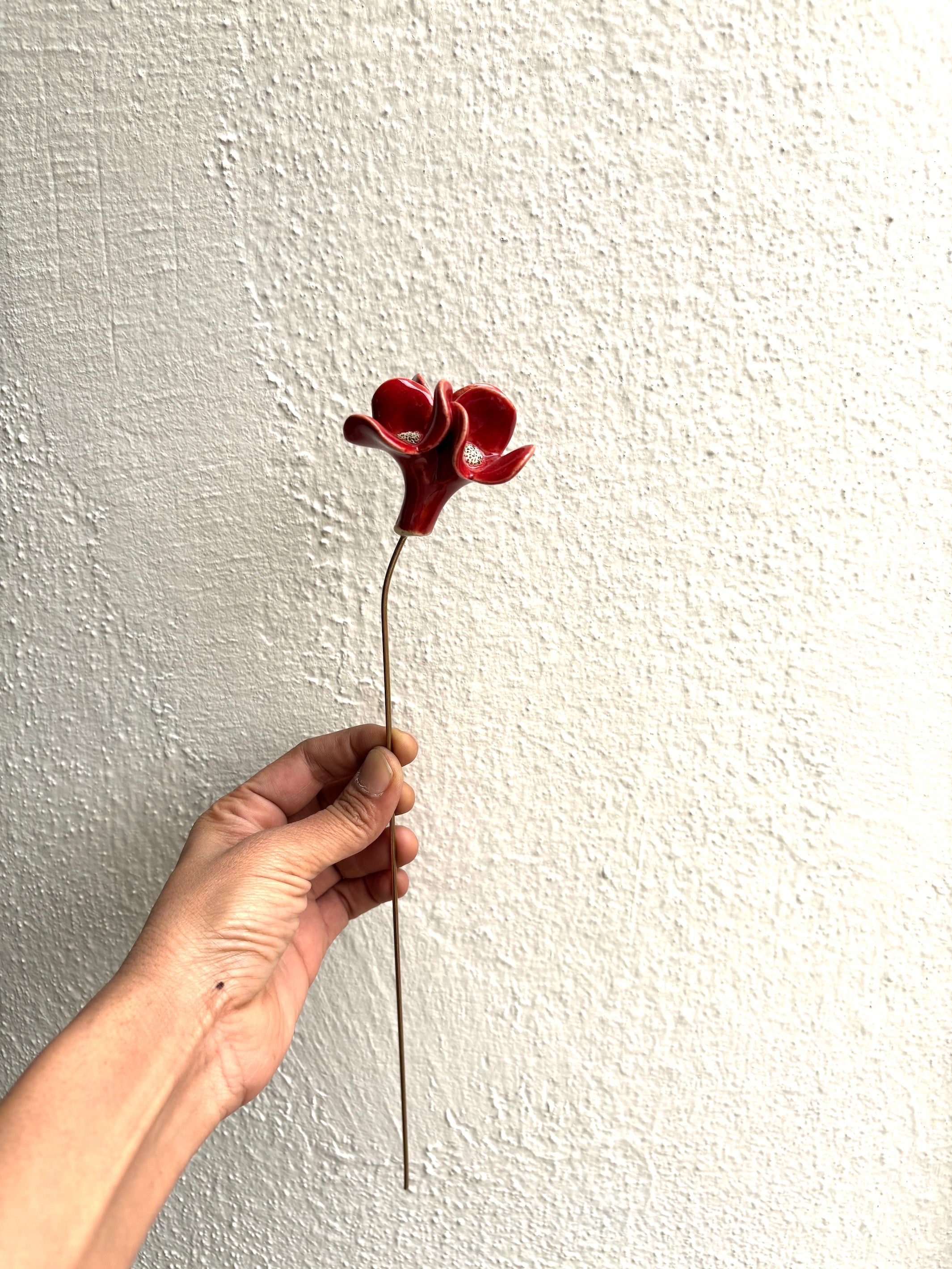 Trinity Orchid - Purple - Single Stem