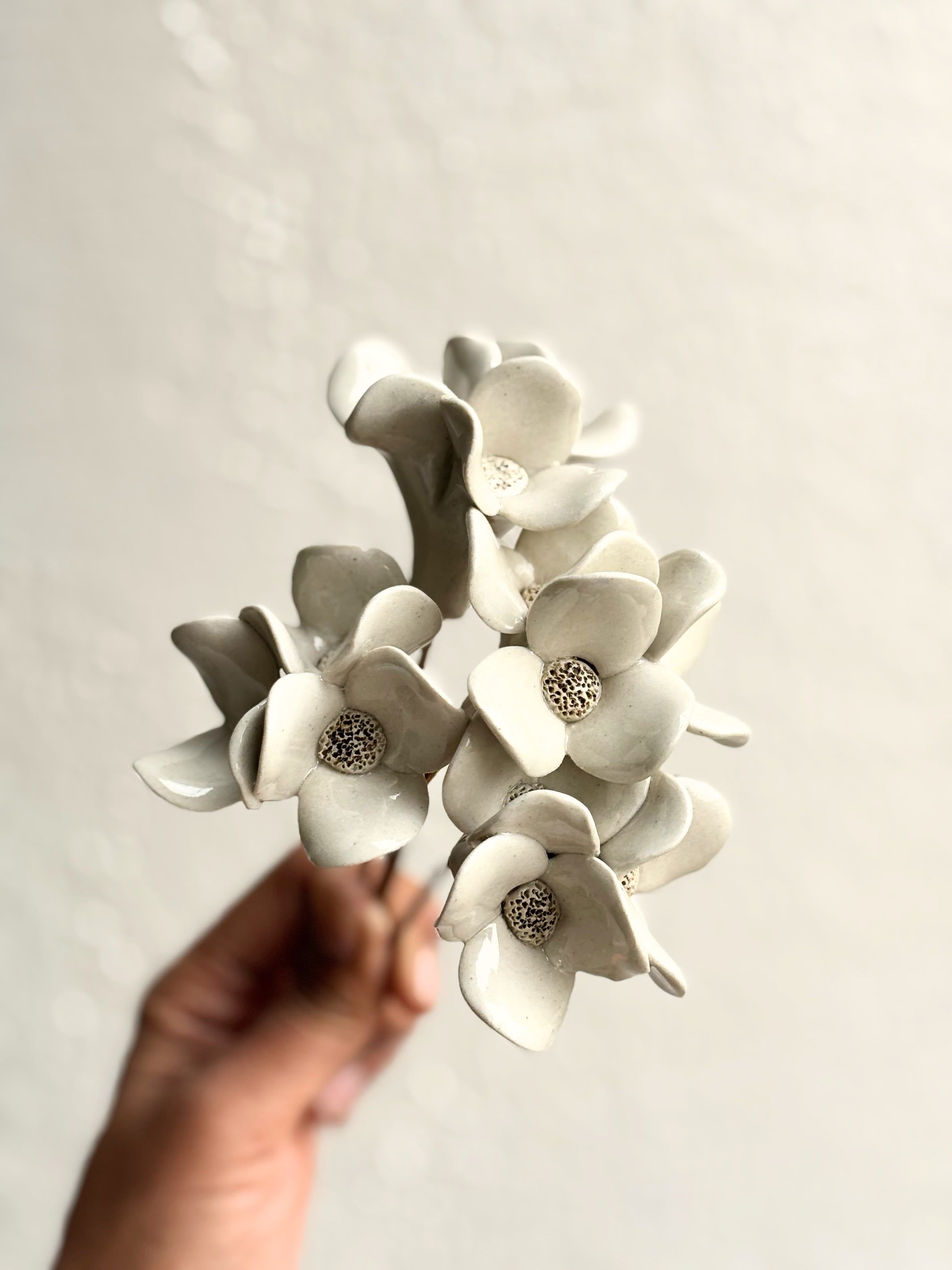 Trinity Orchid - White Single Stem