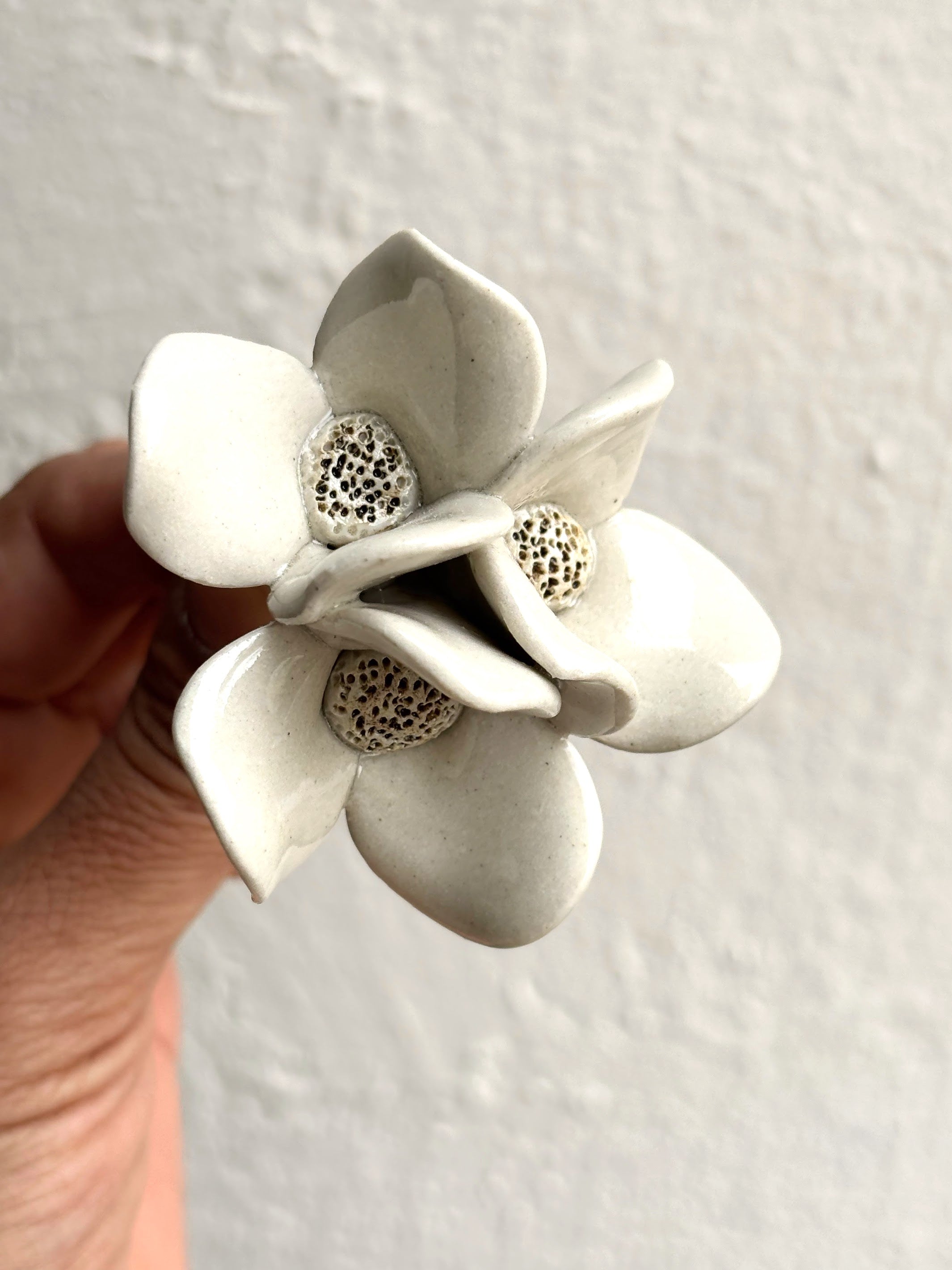 Trinity Orchid - White Single Stem