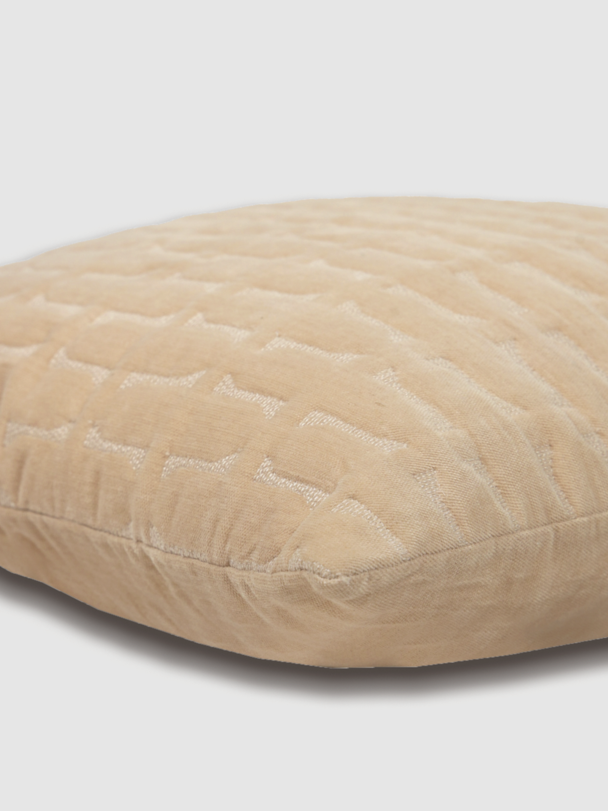 Twig Blush Embroidered Velvet Cushion Cover