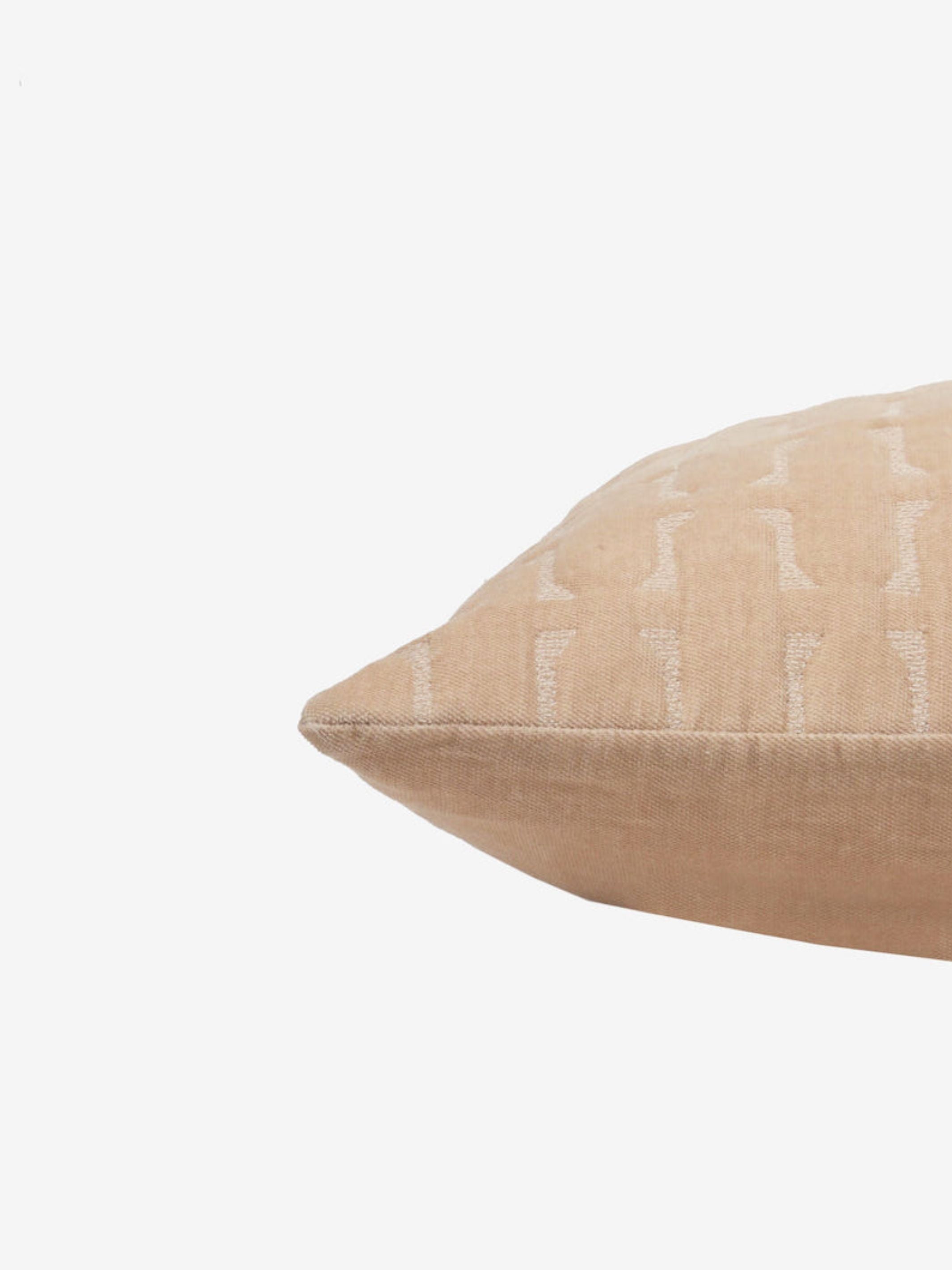 Twig Blush Embroidered Velvet Cushion Cover