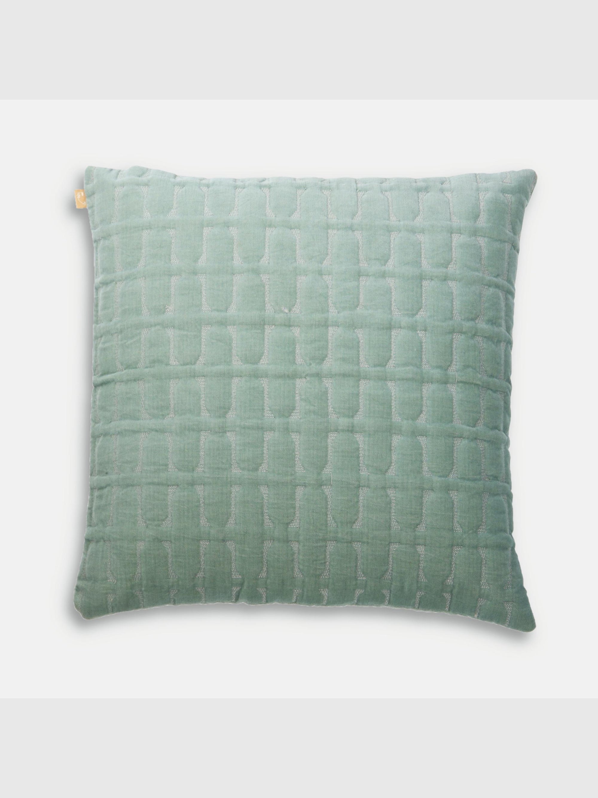 Twig Duck Egg Embroidered Velvet Cushion Cover