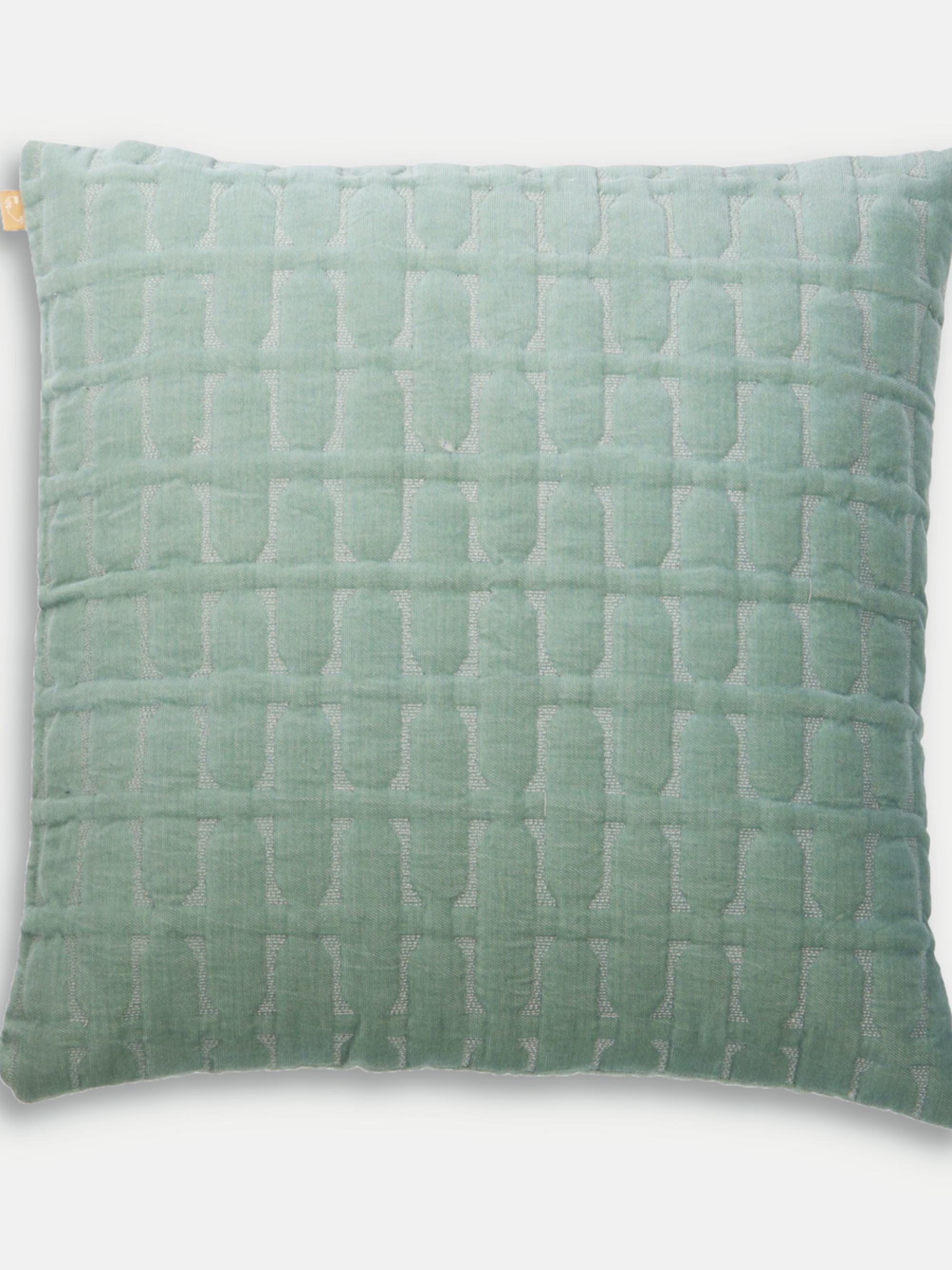 Twig Duck Egg Embroidered Velvet Cushion Cover