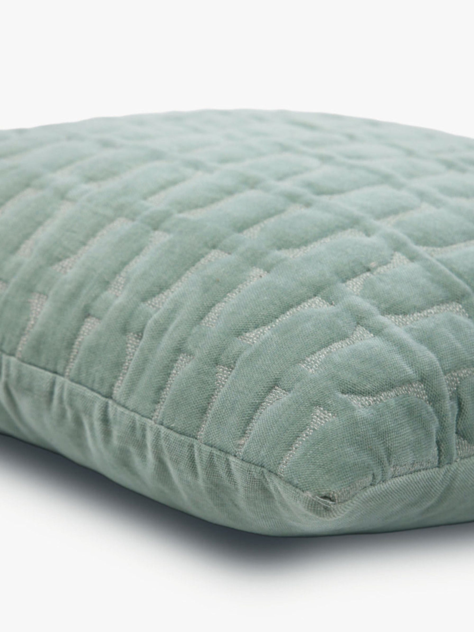 Twig Duck Egg Embroidered Velvet Cushion Cover