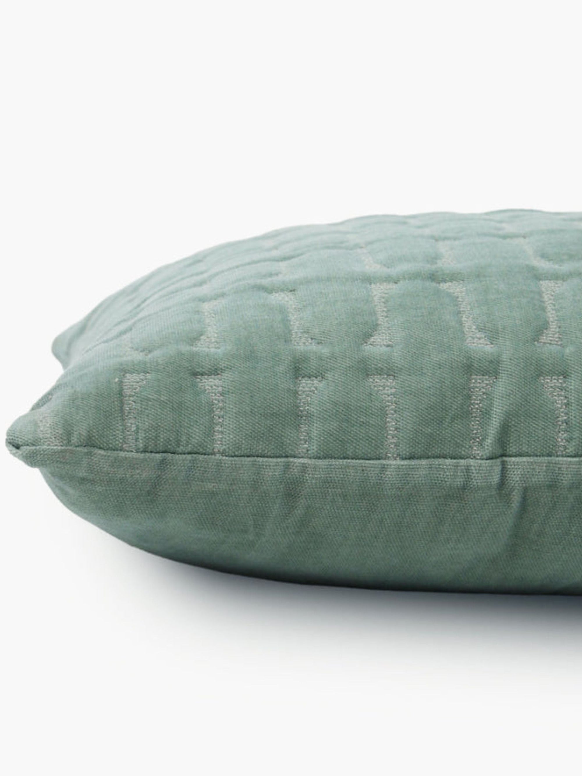 Twig Duck Egg Embroidered Velvet Cushion Cover