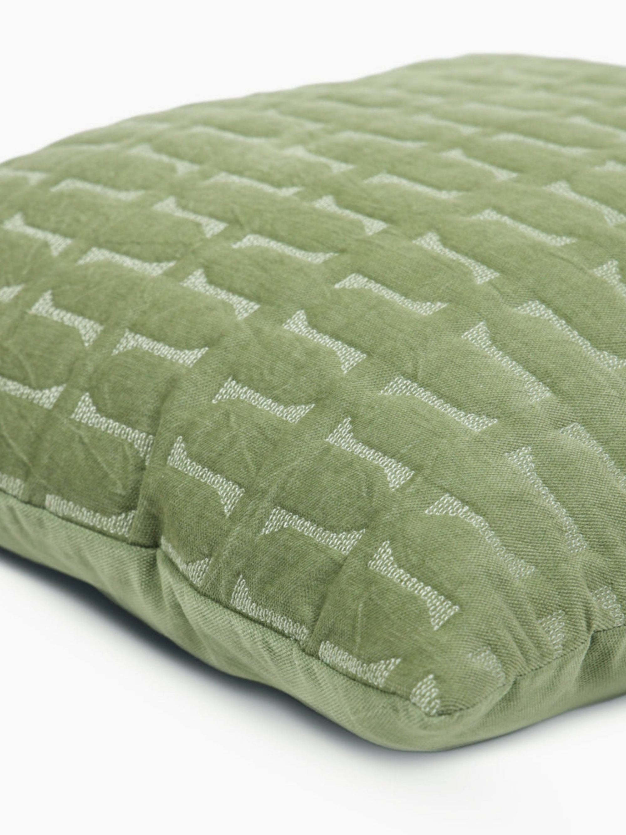 Twig Fern Embroidered Velvet Cushion Cover