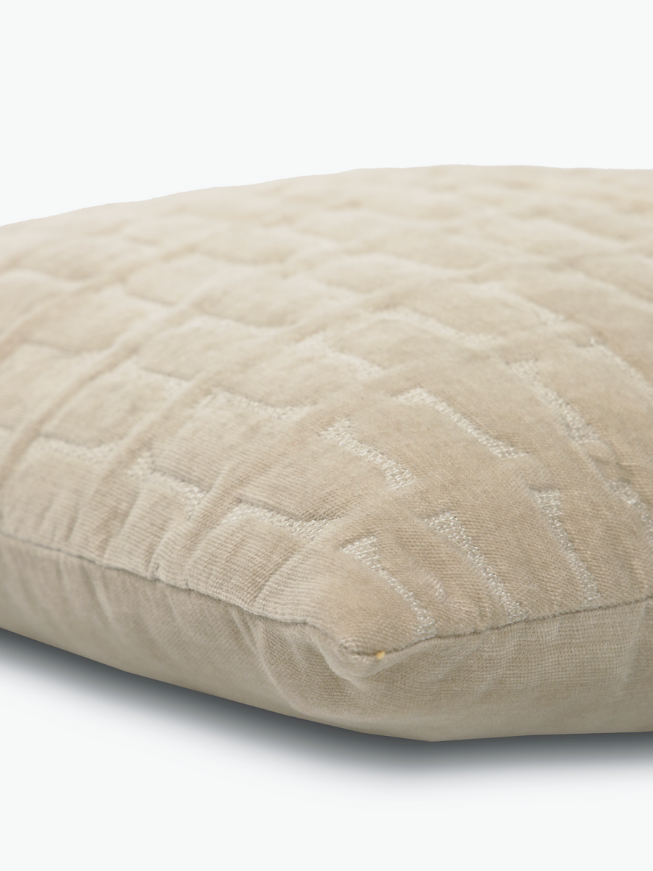 Twig Oatmeal Embroidered Velvet Cushion Cover