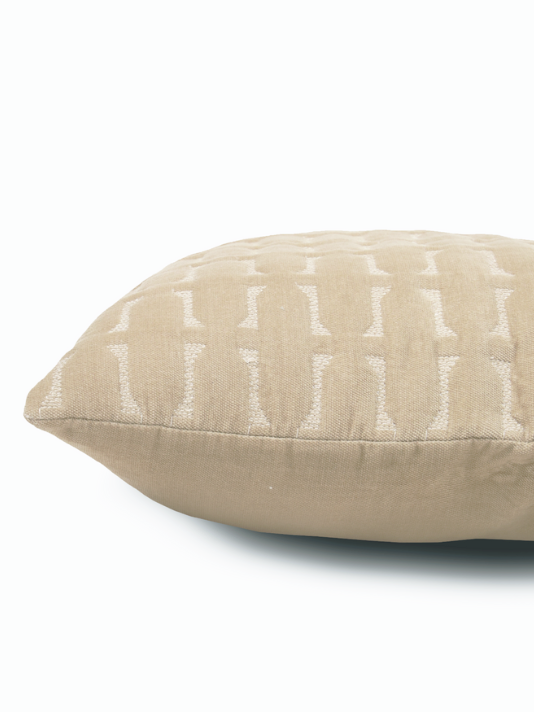 Twig Oatmeal Embroidered Velvet Cushion Cover