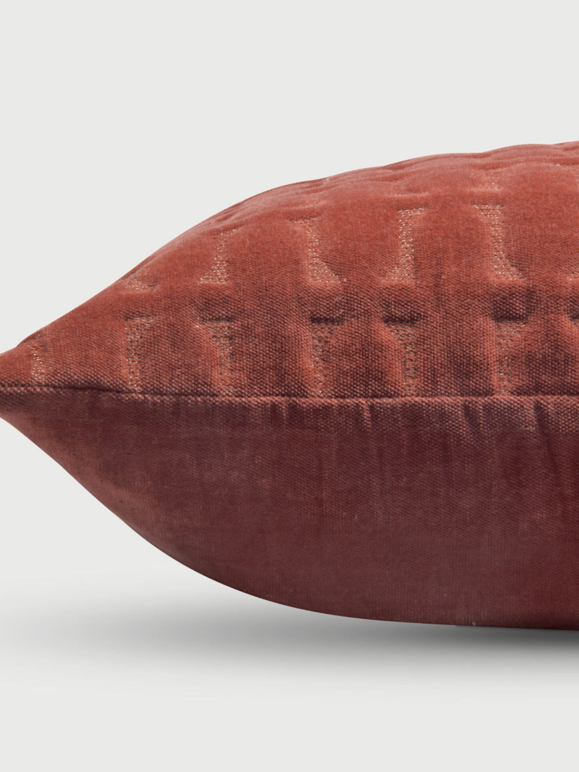 Twig Rhubarb Embroidered Velvet Cushion Cover