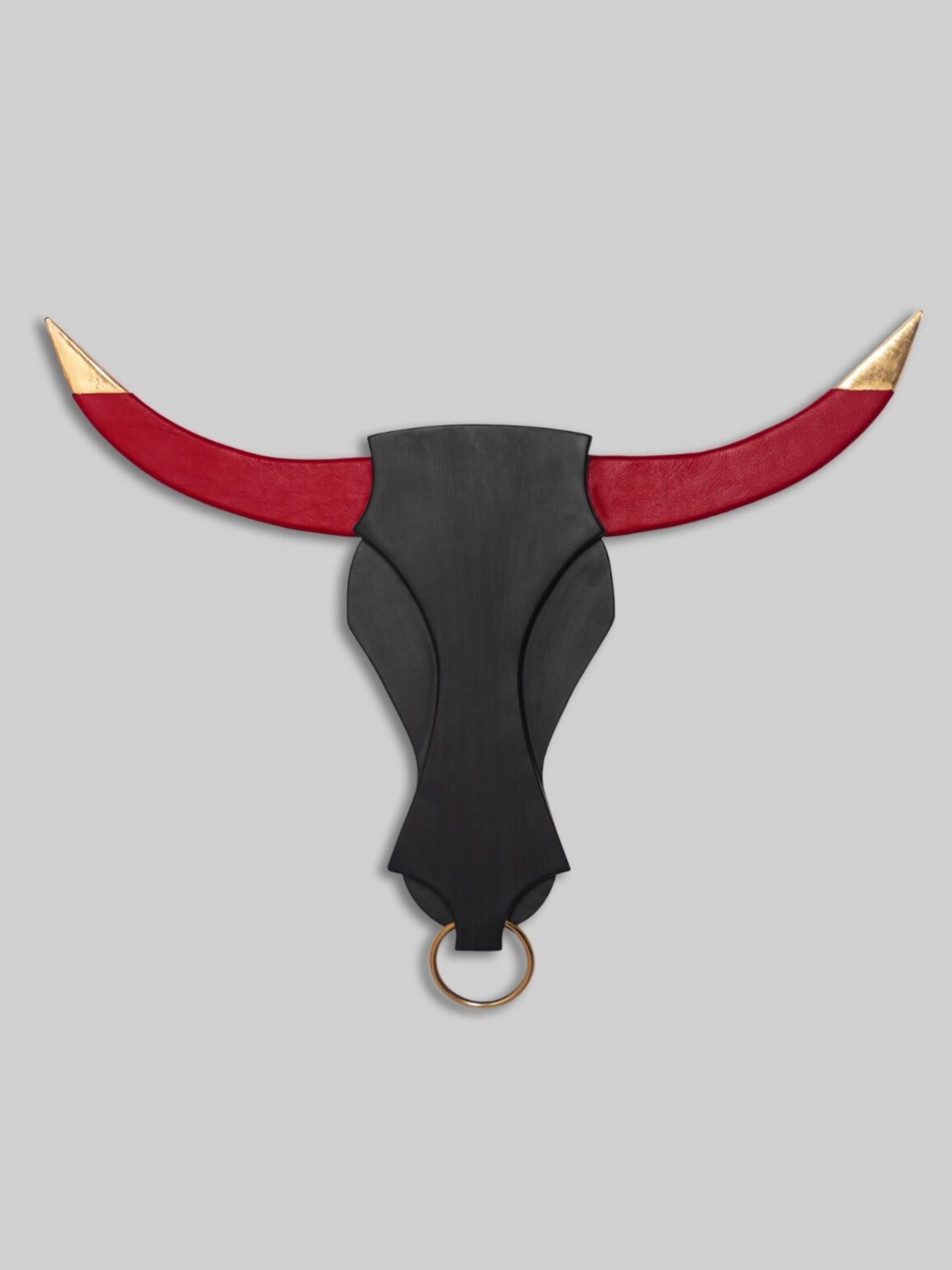 The Bull Face Hanging Wall Art