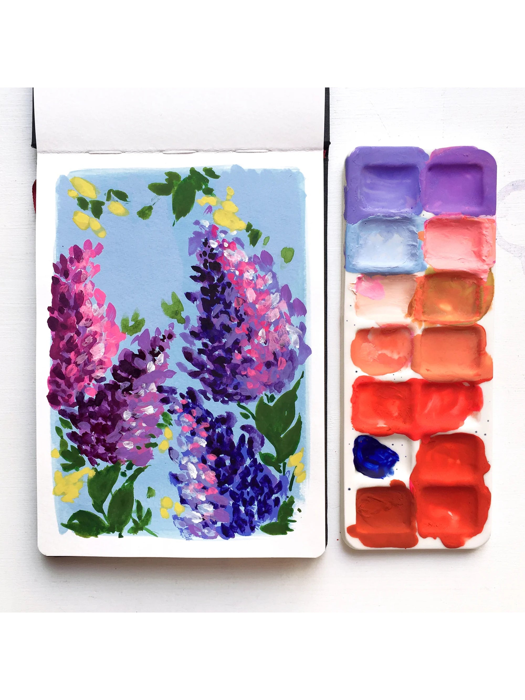 Color Palette - 14 Pan - Artists Tool