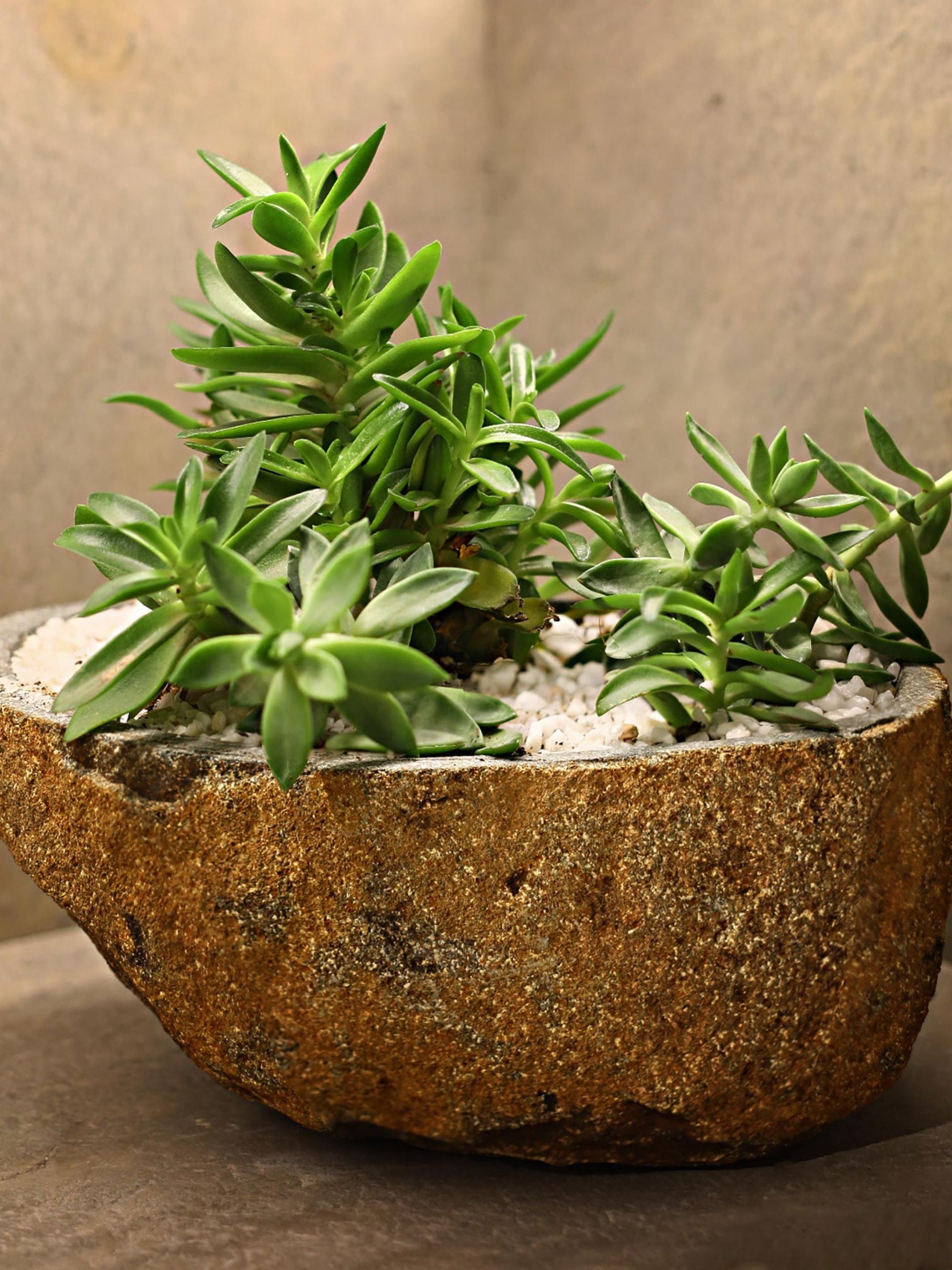 Boulder Planter