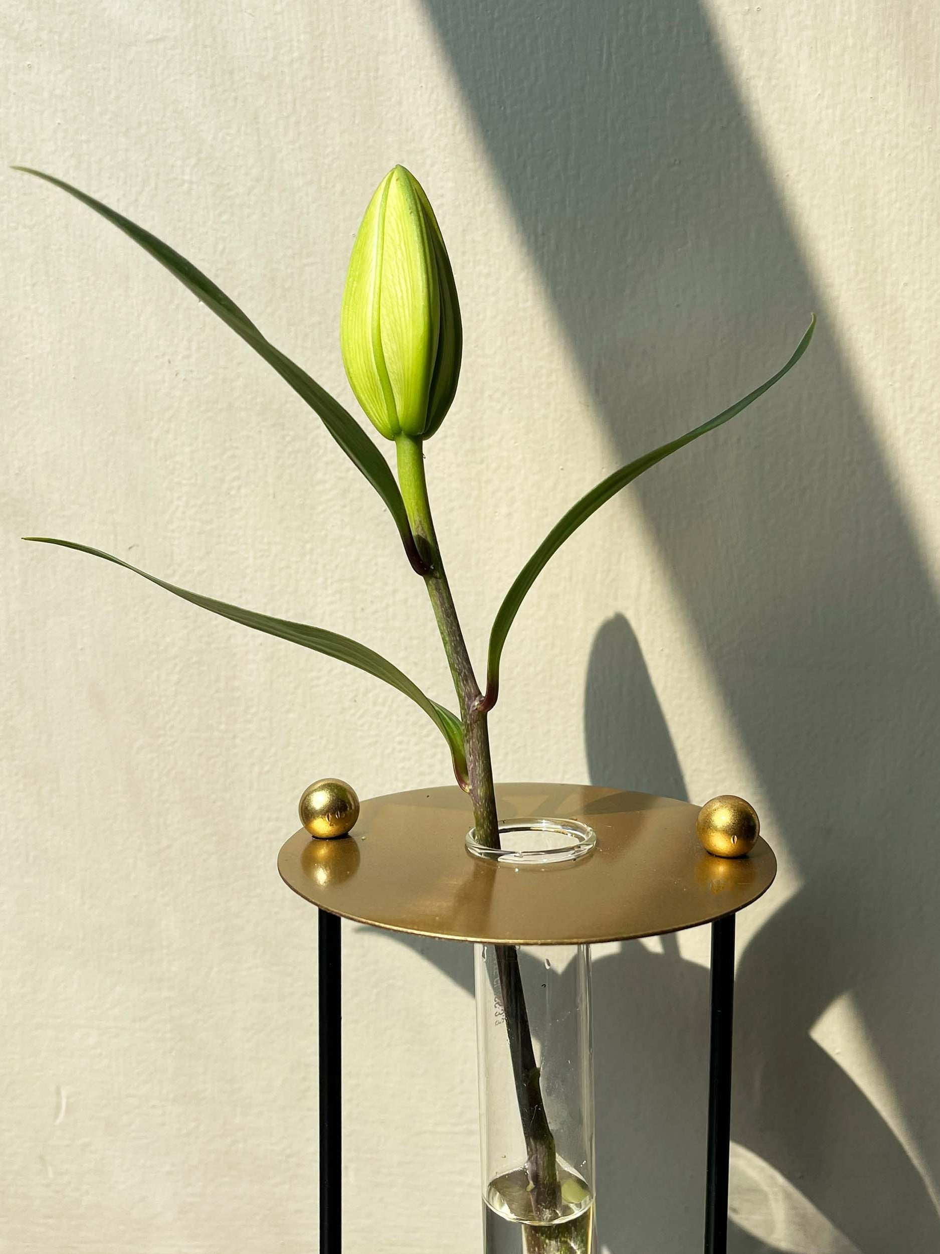 Gold Budvase with Test Tube