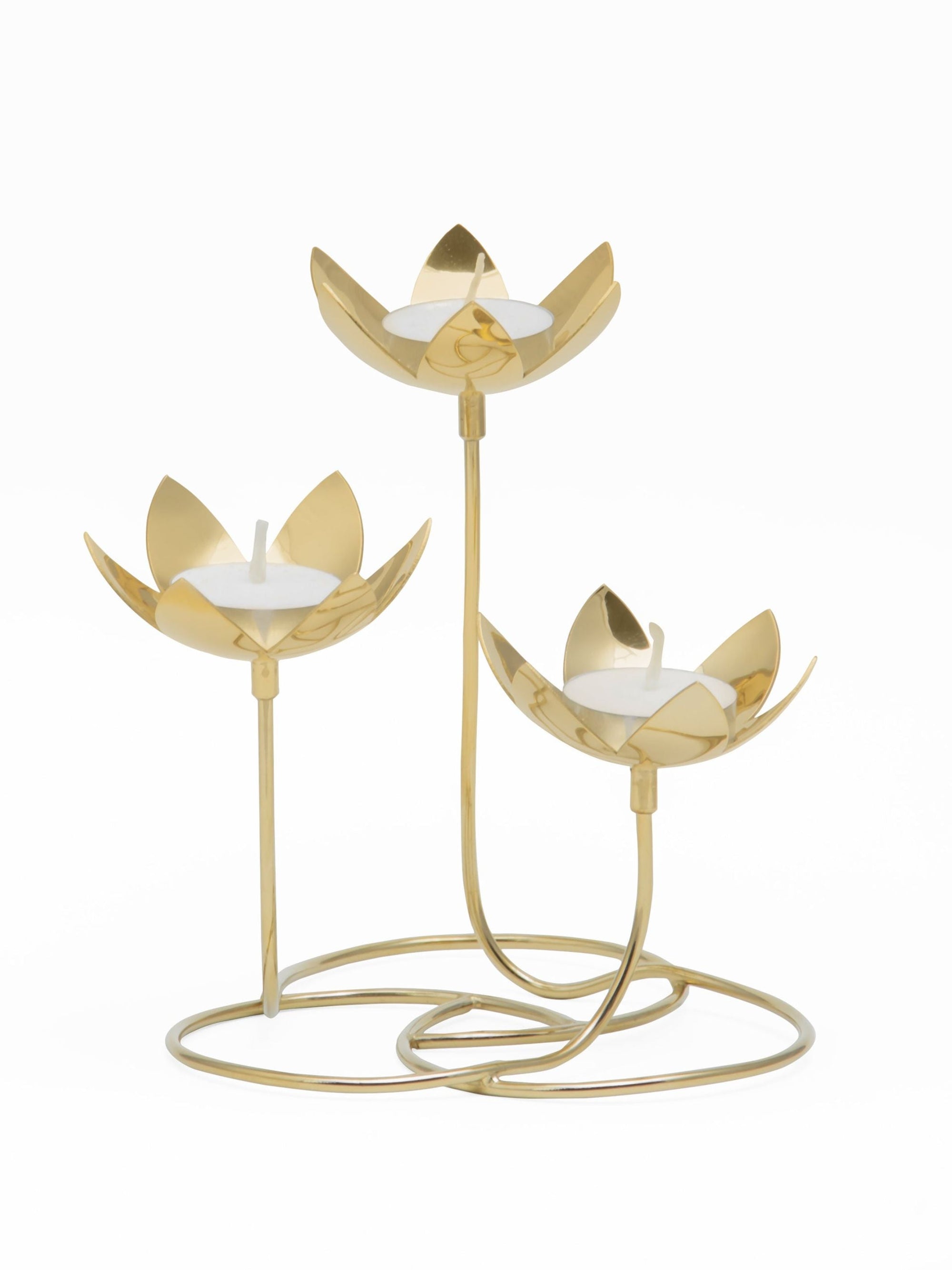 Lotus Cluster - Brass