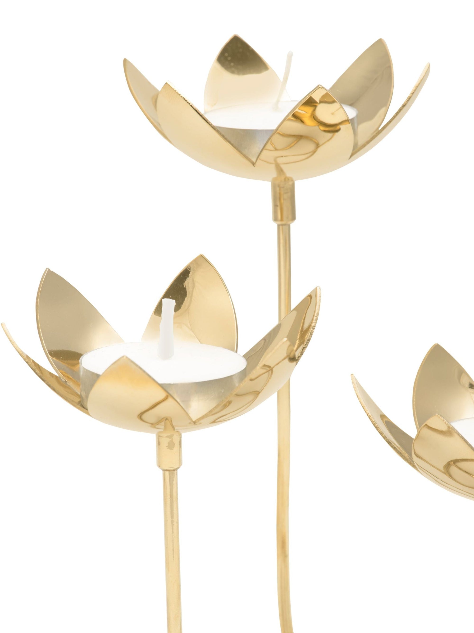 Lotus Cluster - Brass