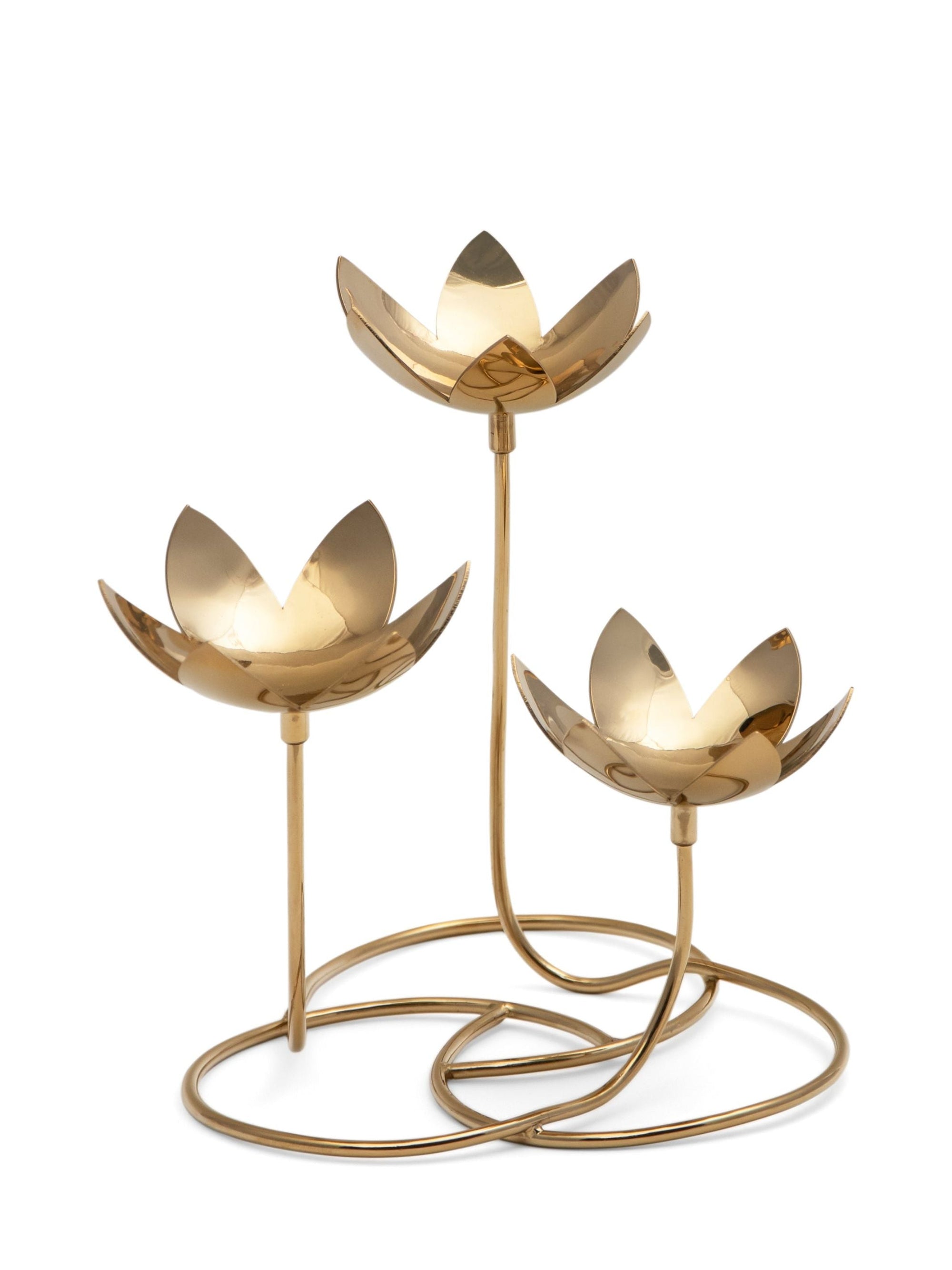 Lotus Cluster - Brass