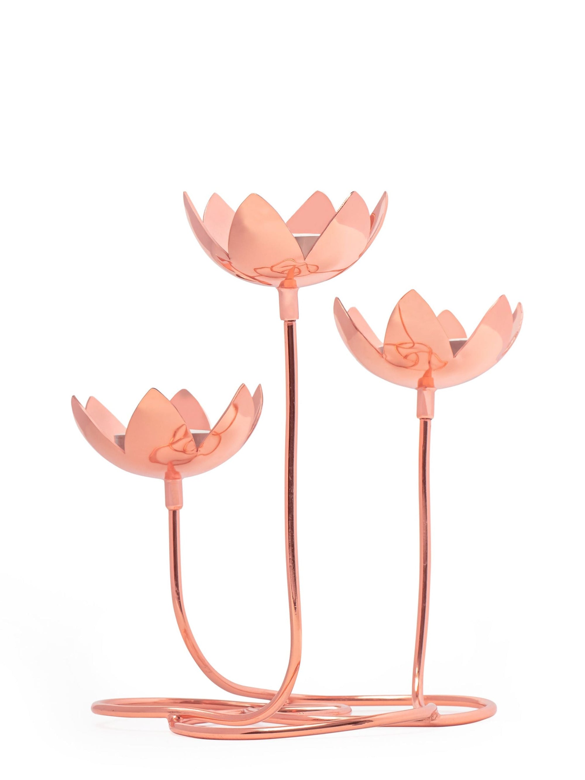 Lotus Cluster - Brass