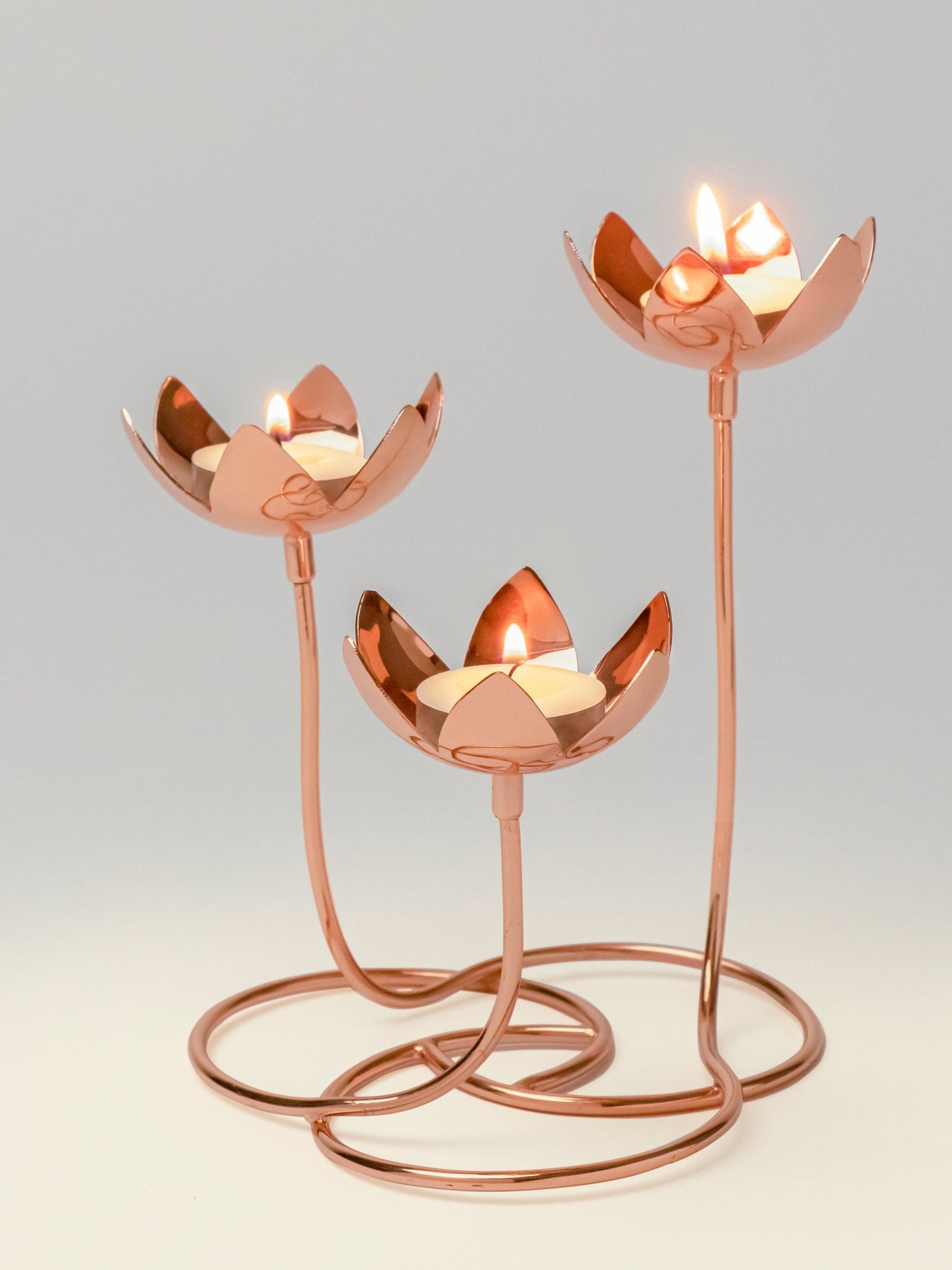 Lotus Cluster - Brass