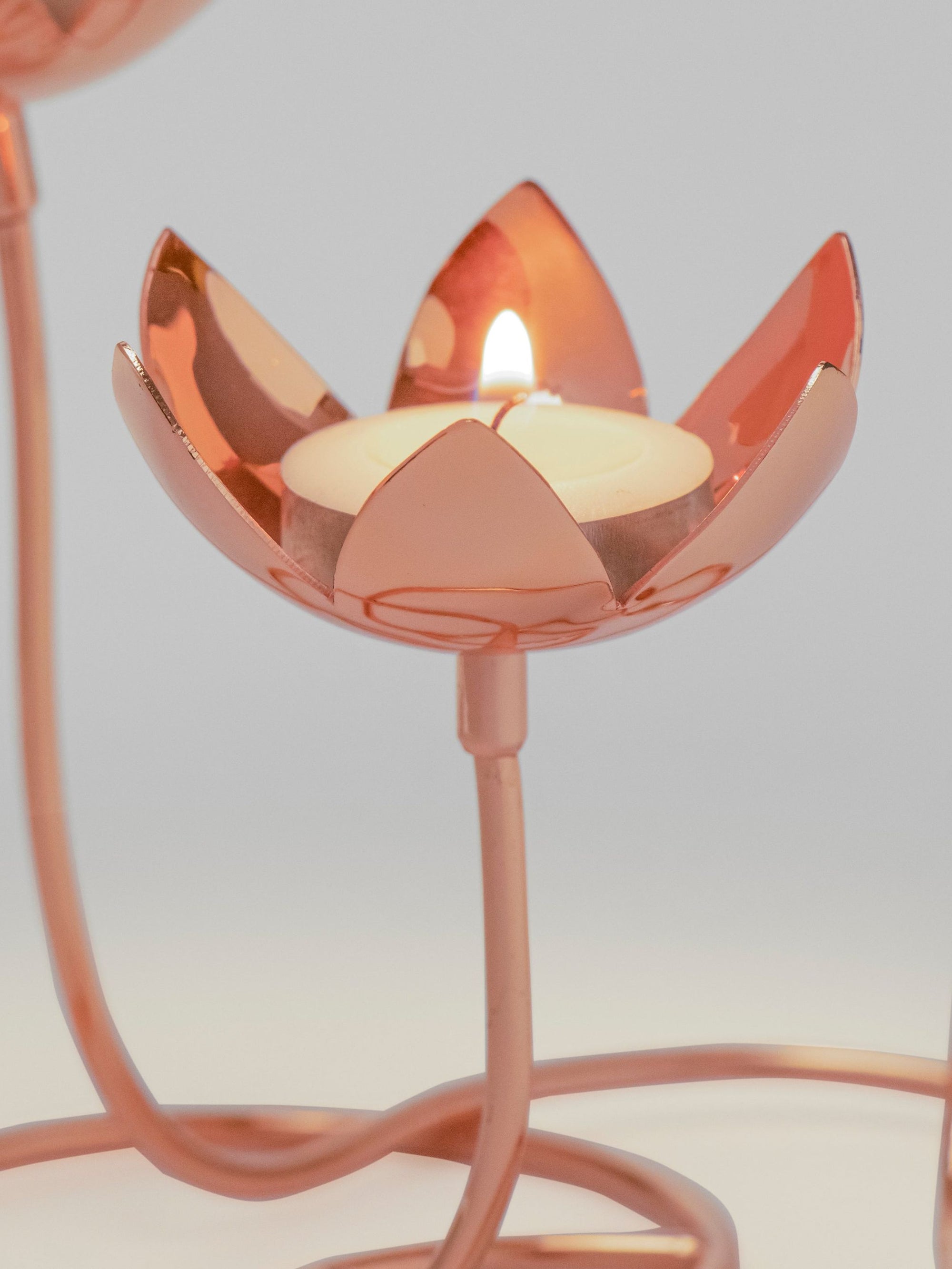 Lotus Cluster - Brass