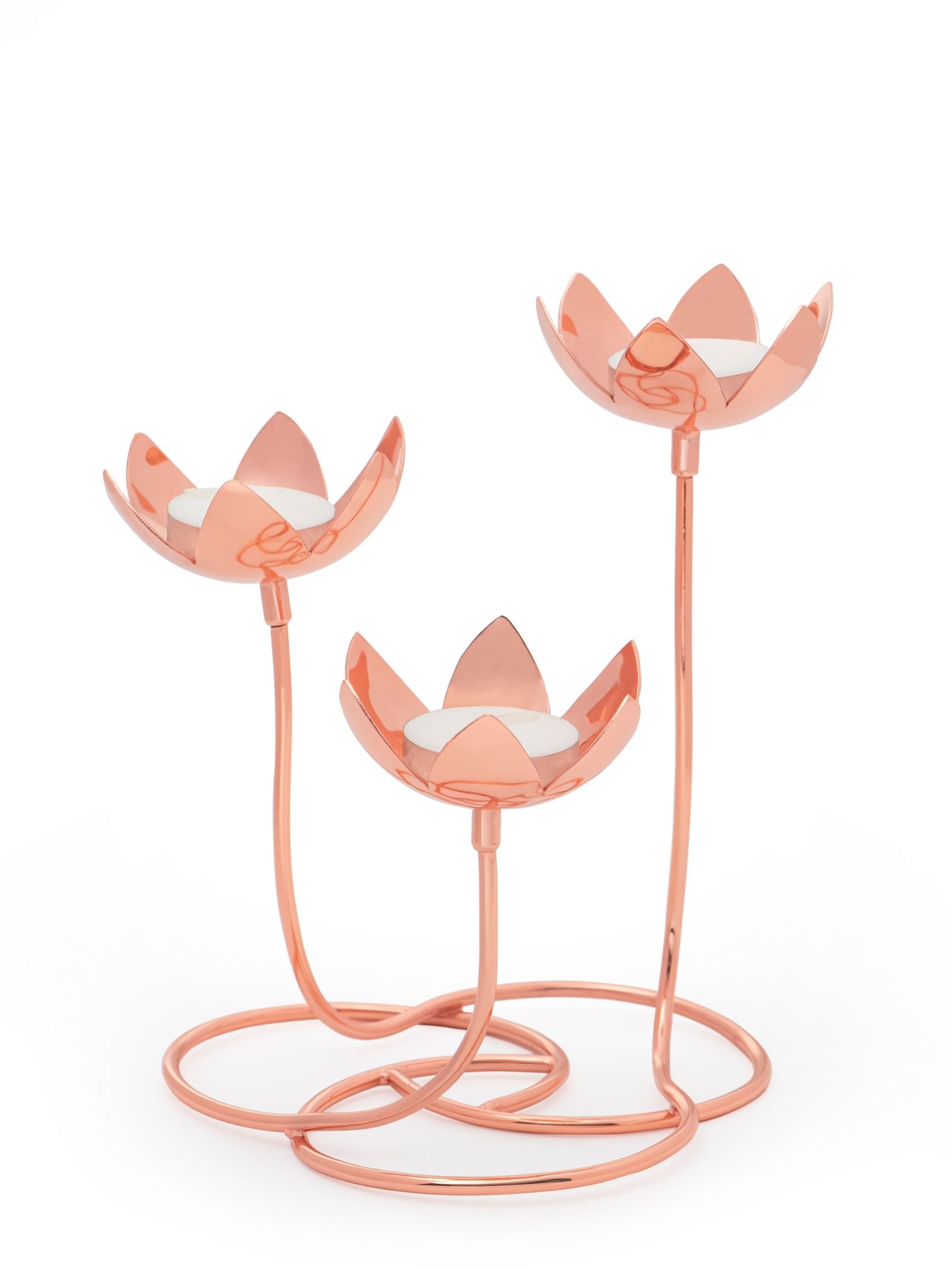 Lotus Cluster - Brass