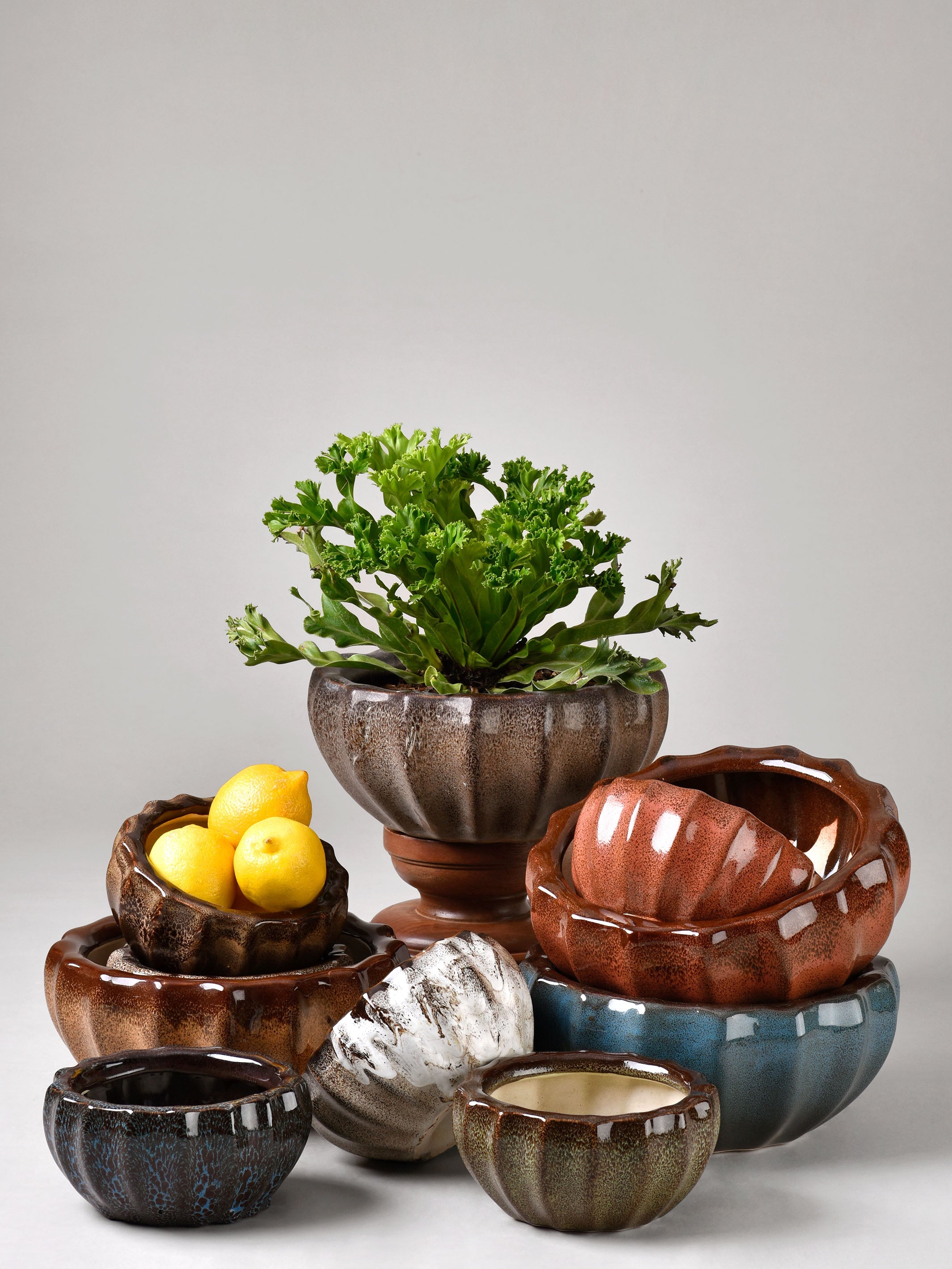 Ribbed Ceramic Fern Planter