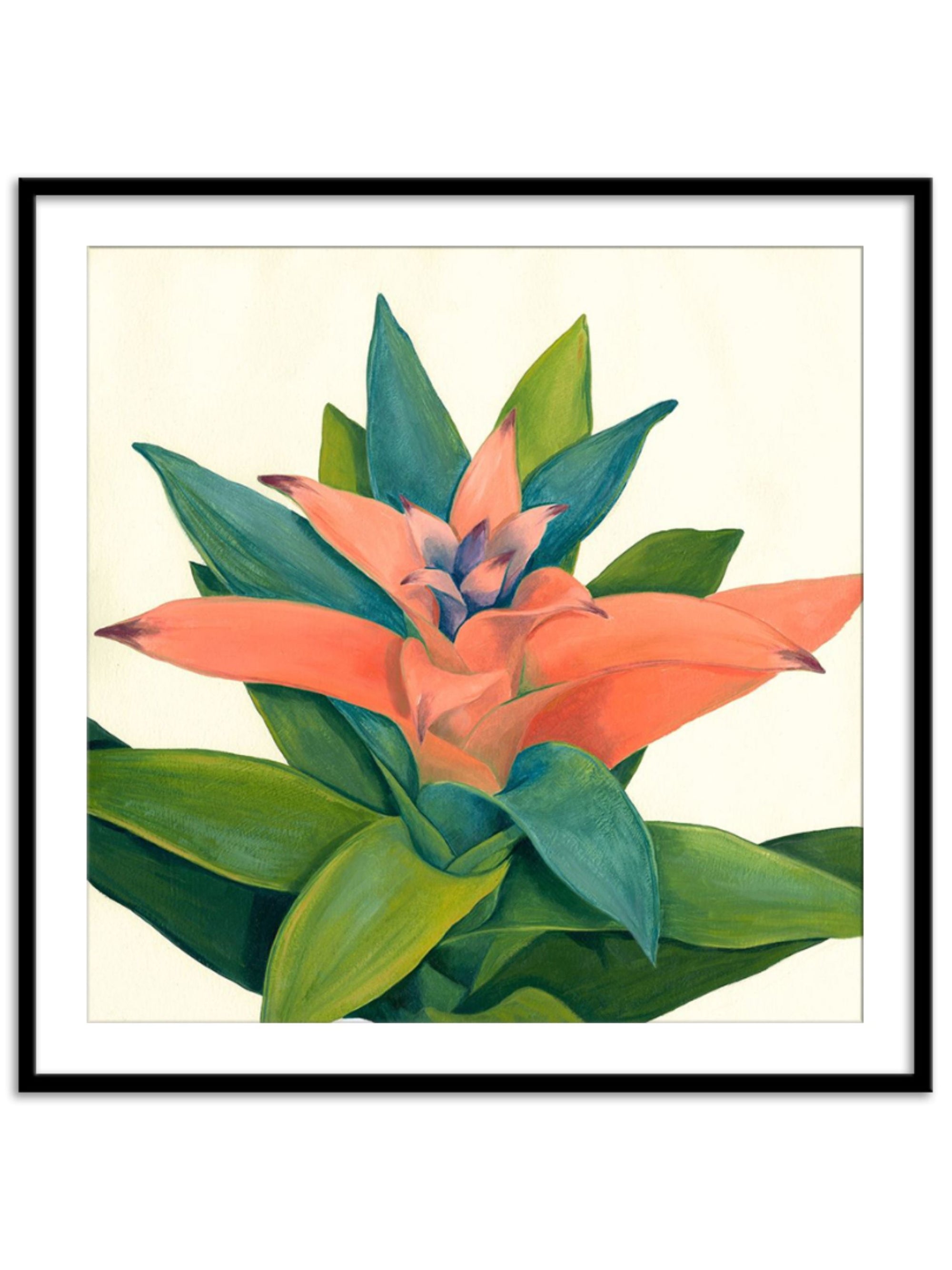 Wall Prints - Tropical IV