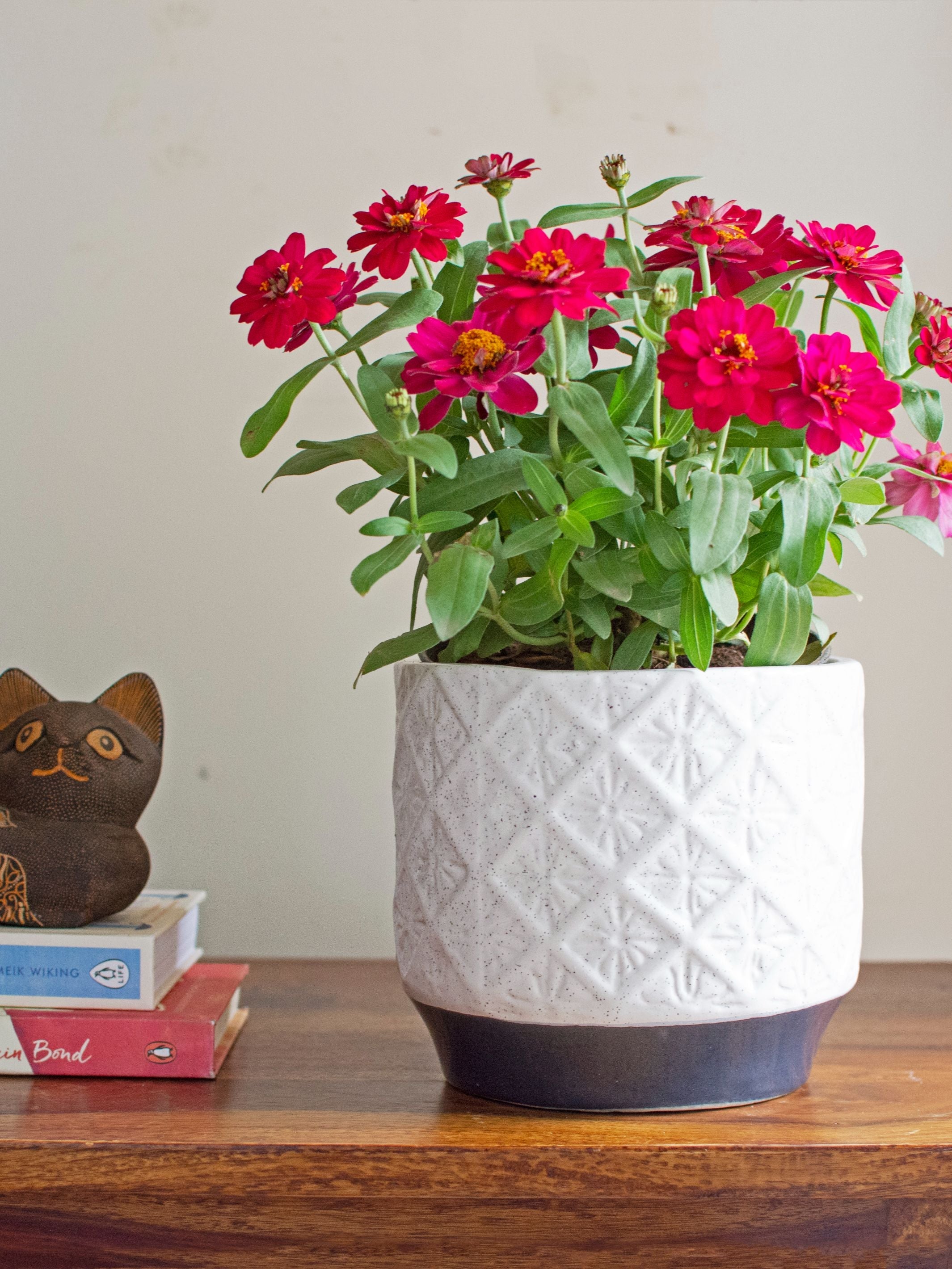 Adam Ceramic Planter