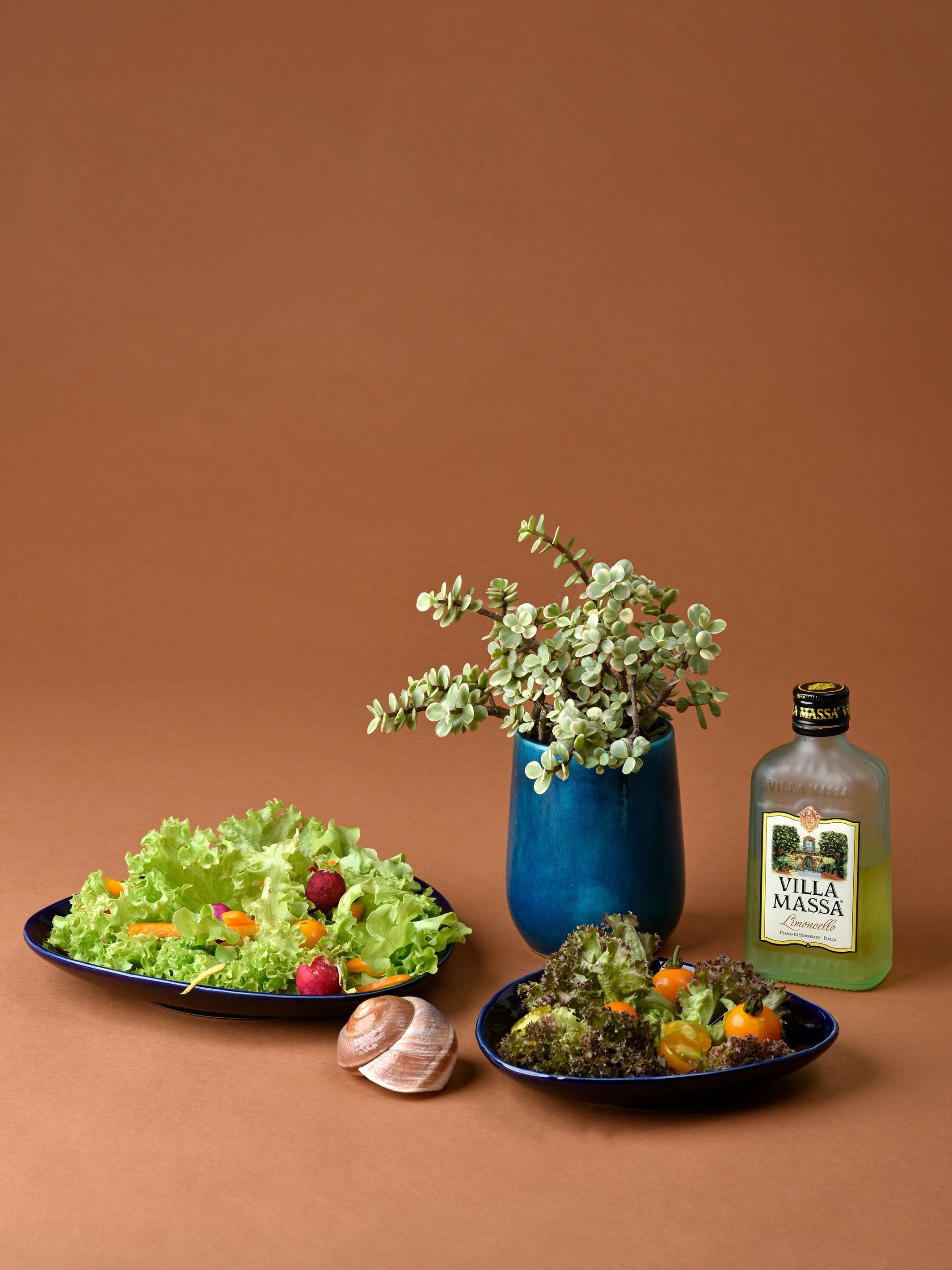 Triangulum Ceramic Platter