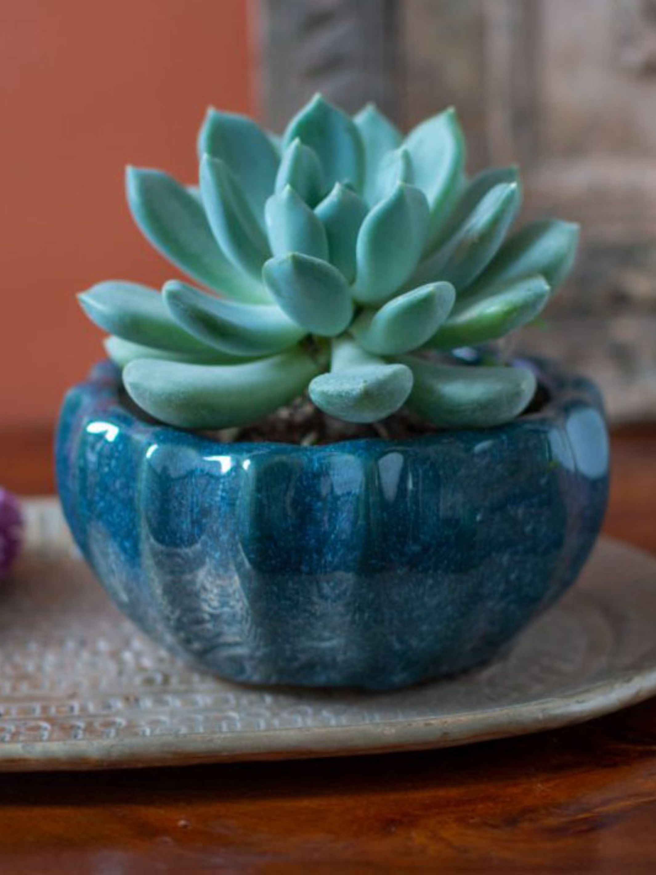 Ceramic Bonsai Planter Set of 2