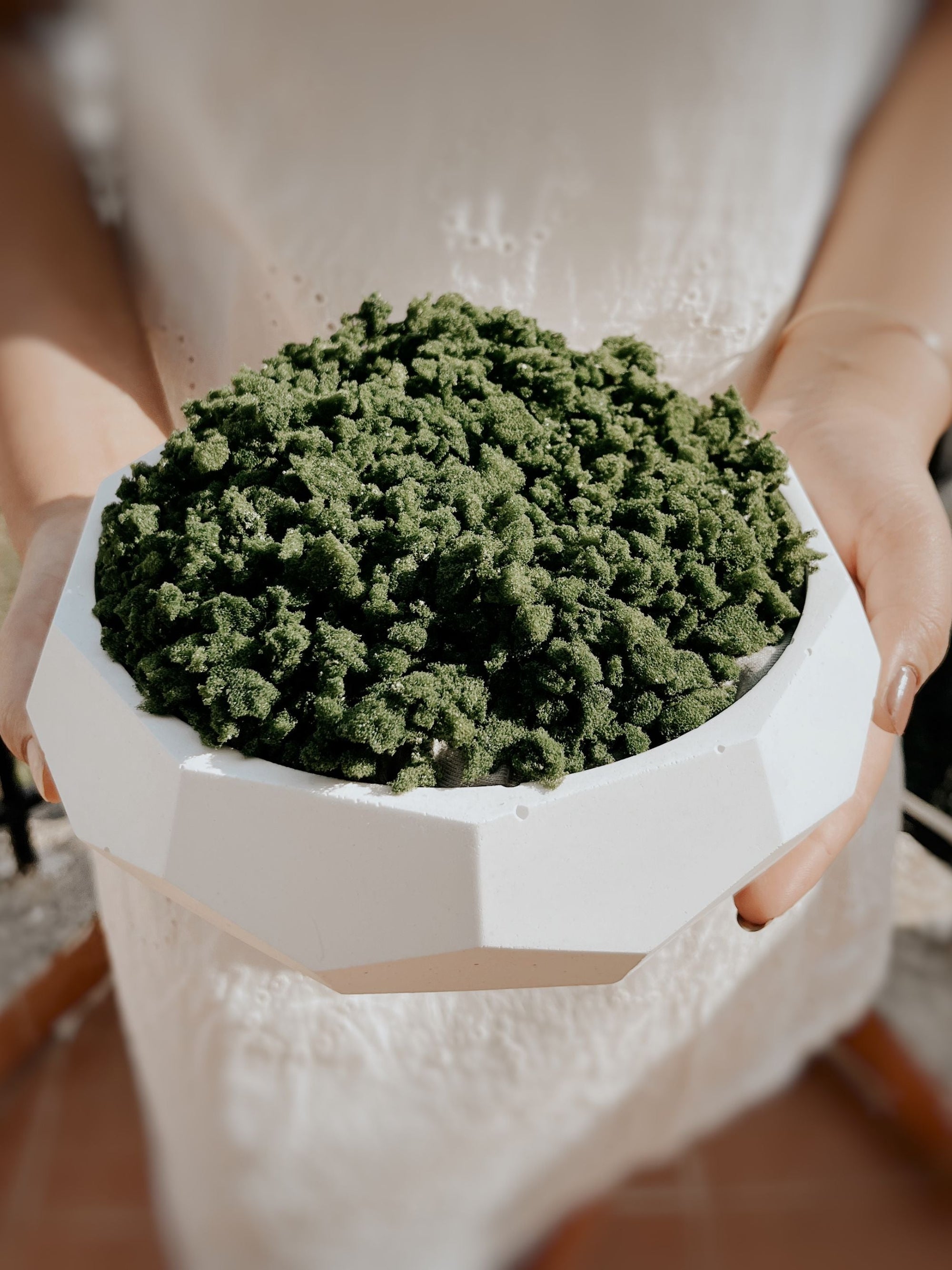 Concrete Geo Bowl Planter